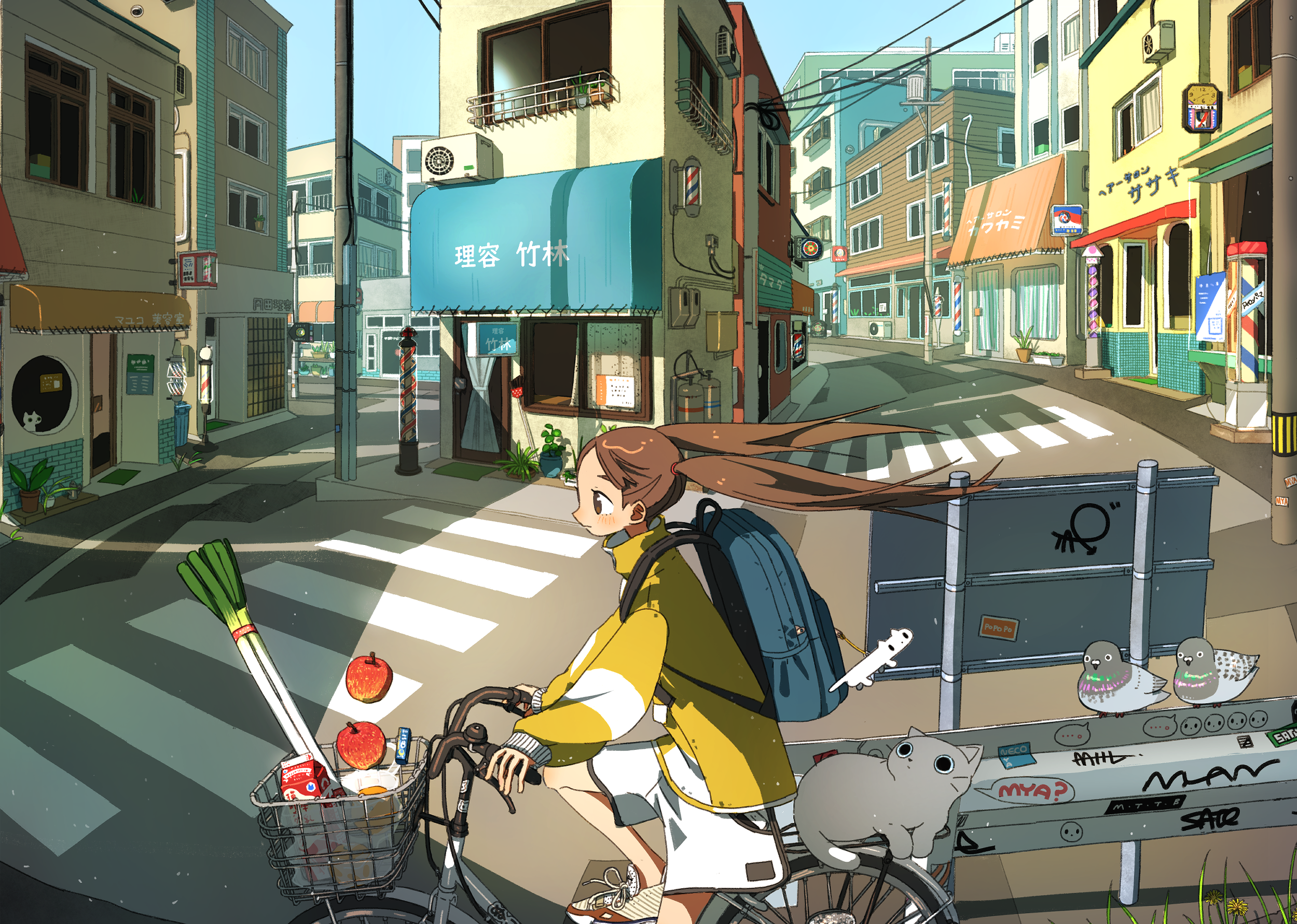 Girl riding a bike with groceries and a cat HD Wallpaper