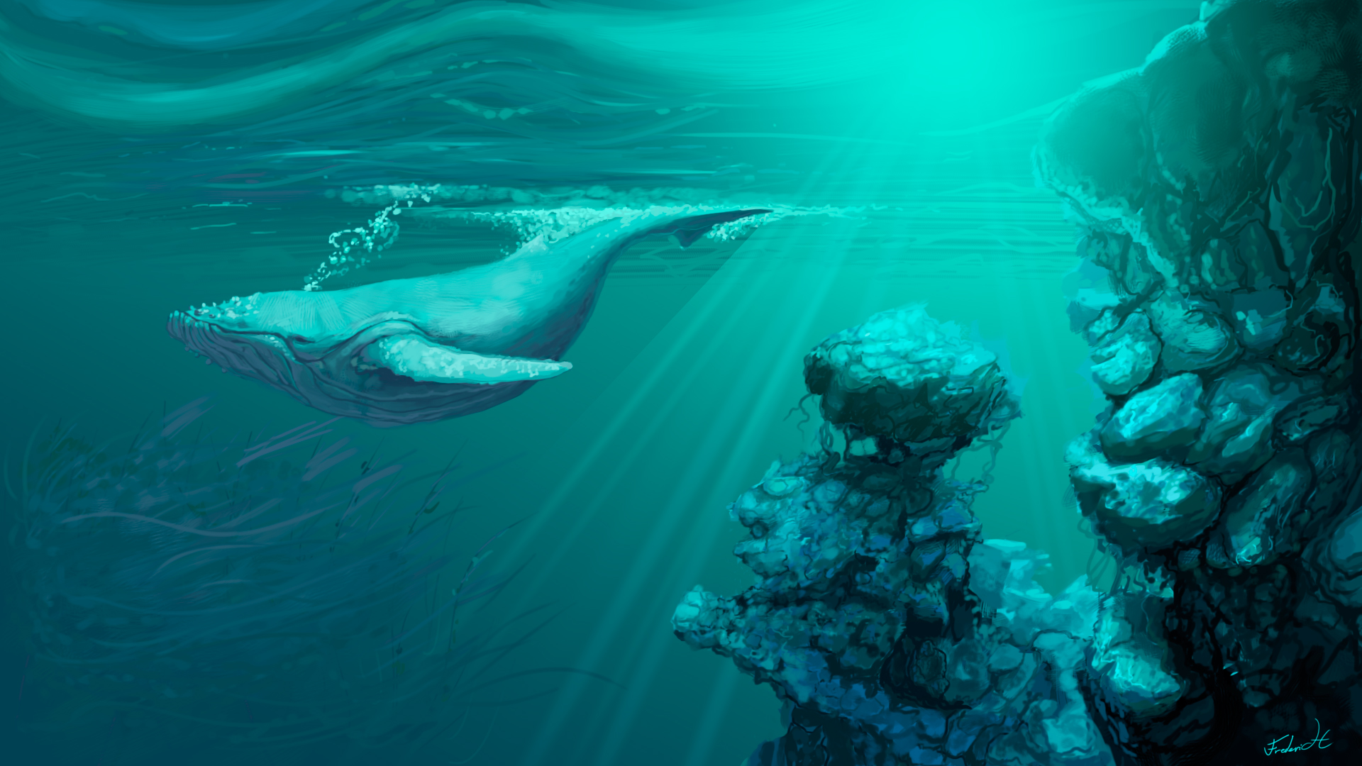 Blue whale swims underwater near coral reefs HD Wallpaper