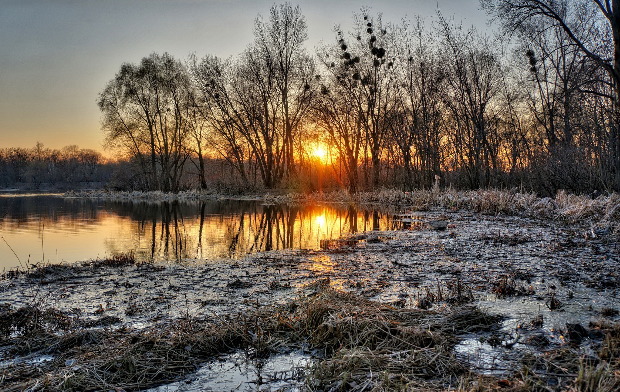 Sunset over a frozen lake with bare trees HD Wallpaper
