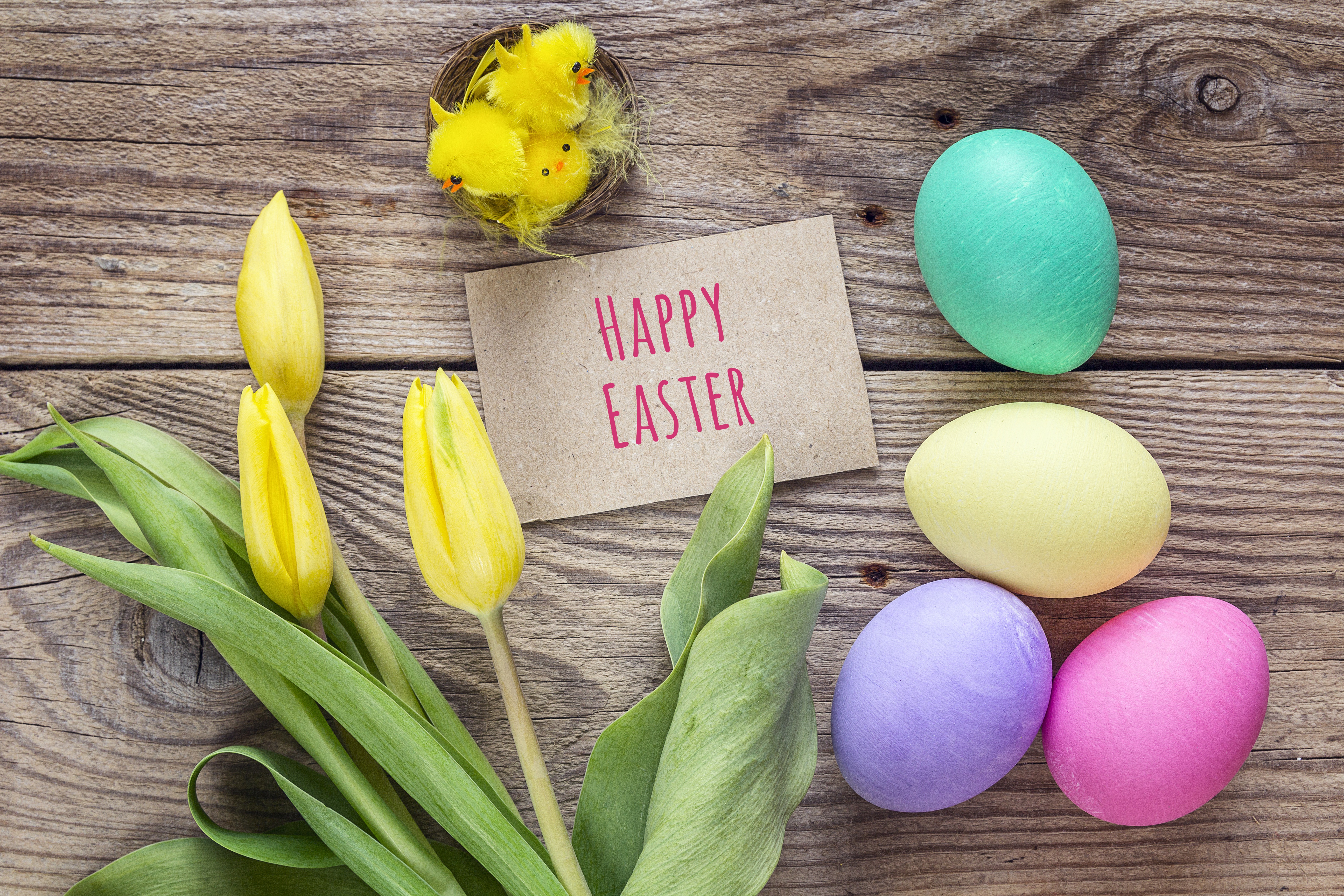 Happy Easter with Tulips and Eggs 4K HD Wallpaper