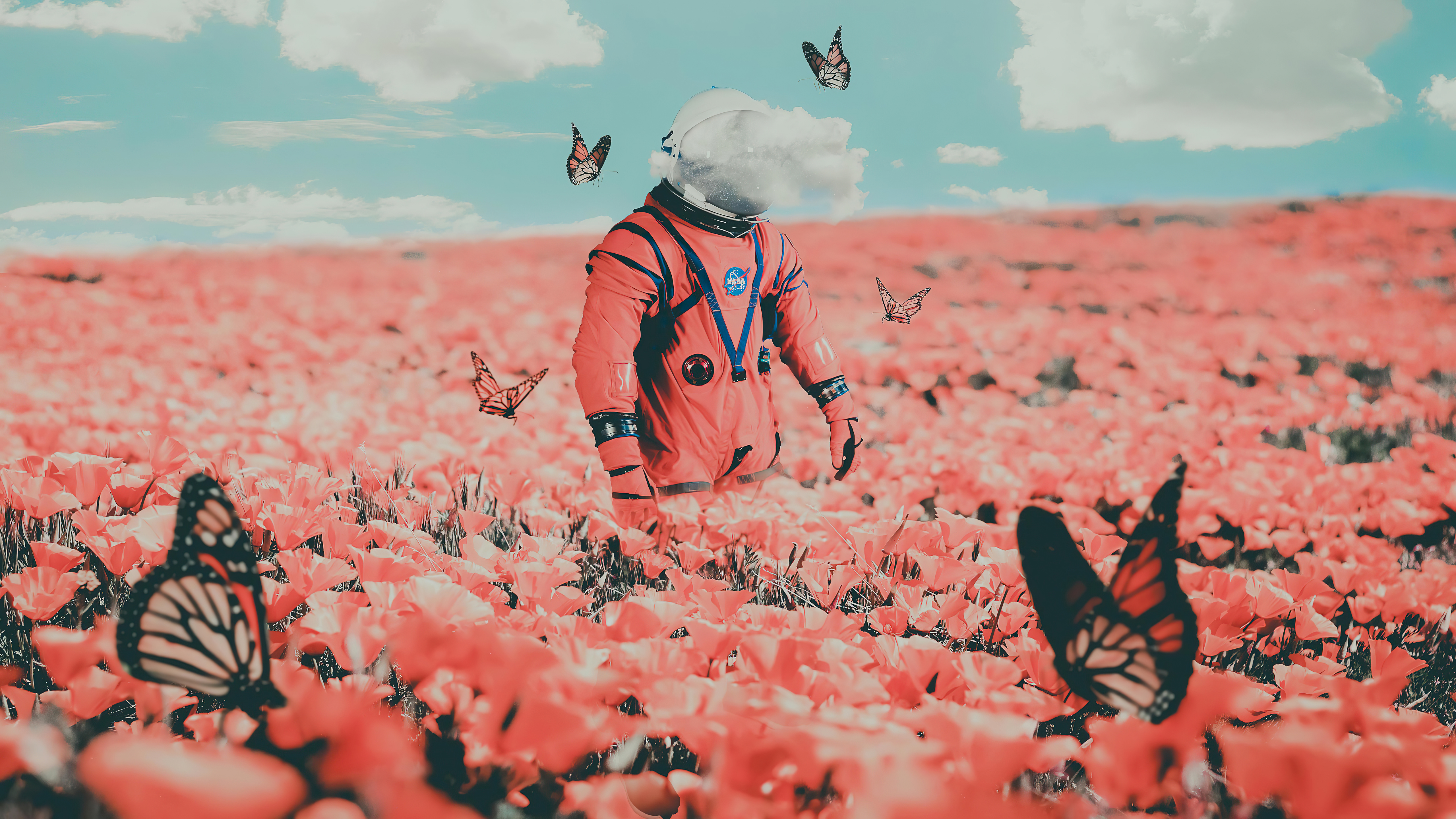 Astronaut in a field of flowers with butterflies HD Wallpaper