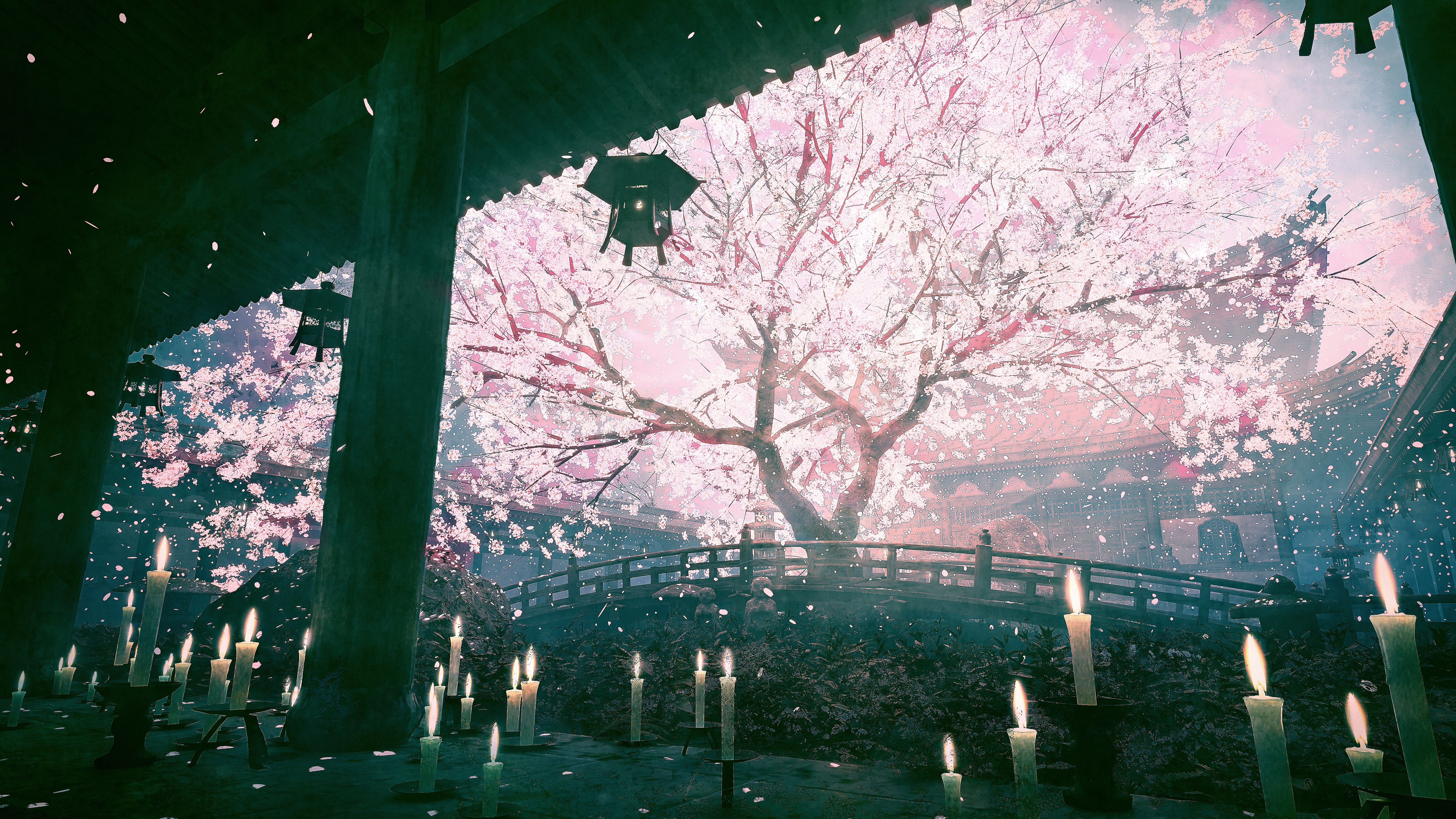Sakura Tree with Candles and Lanterns 4K HD Wallpaper