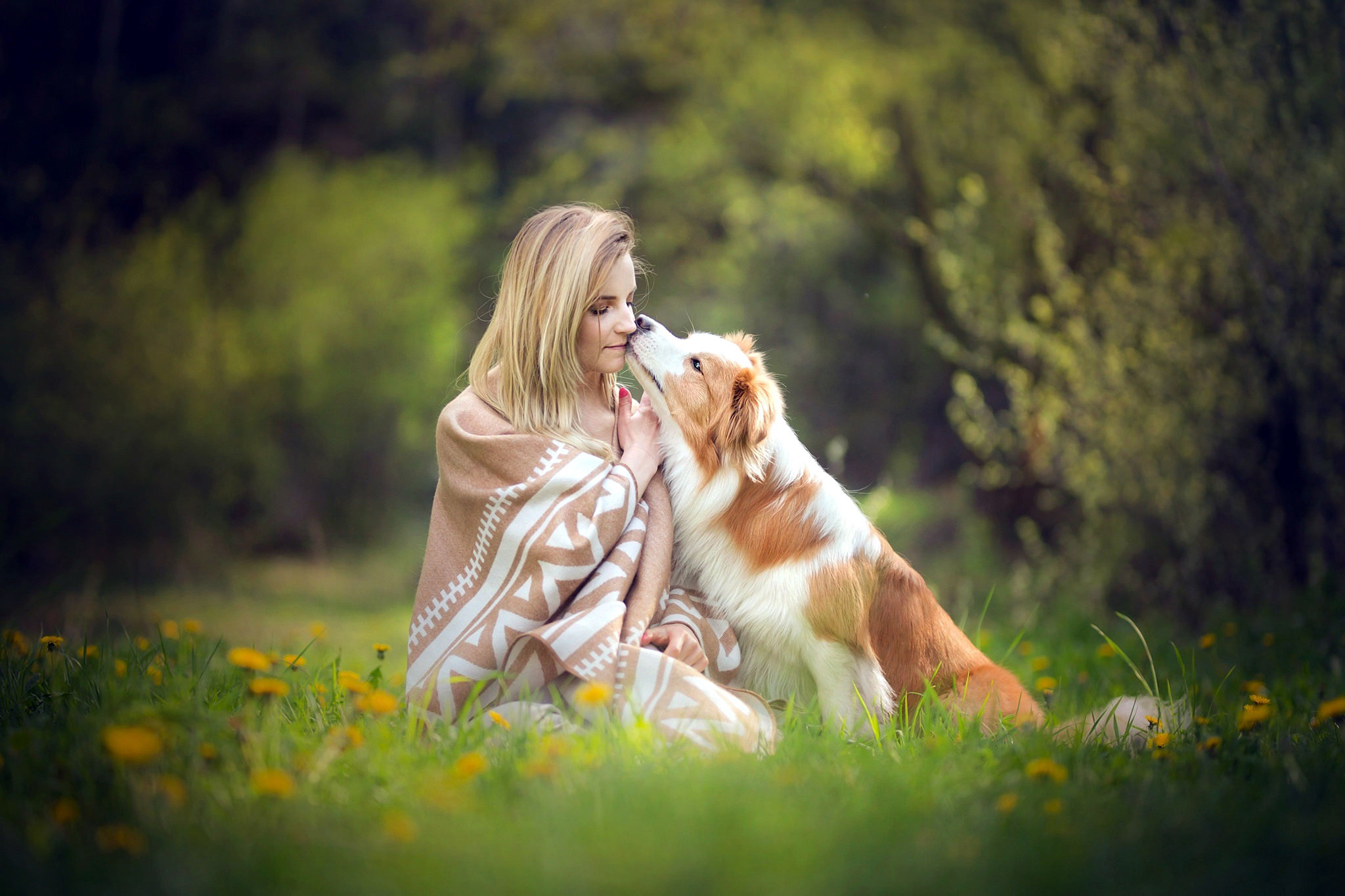 Woman and dog in a grassy field HD Wallpaper