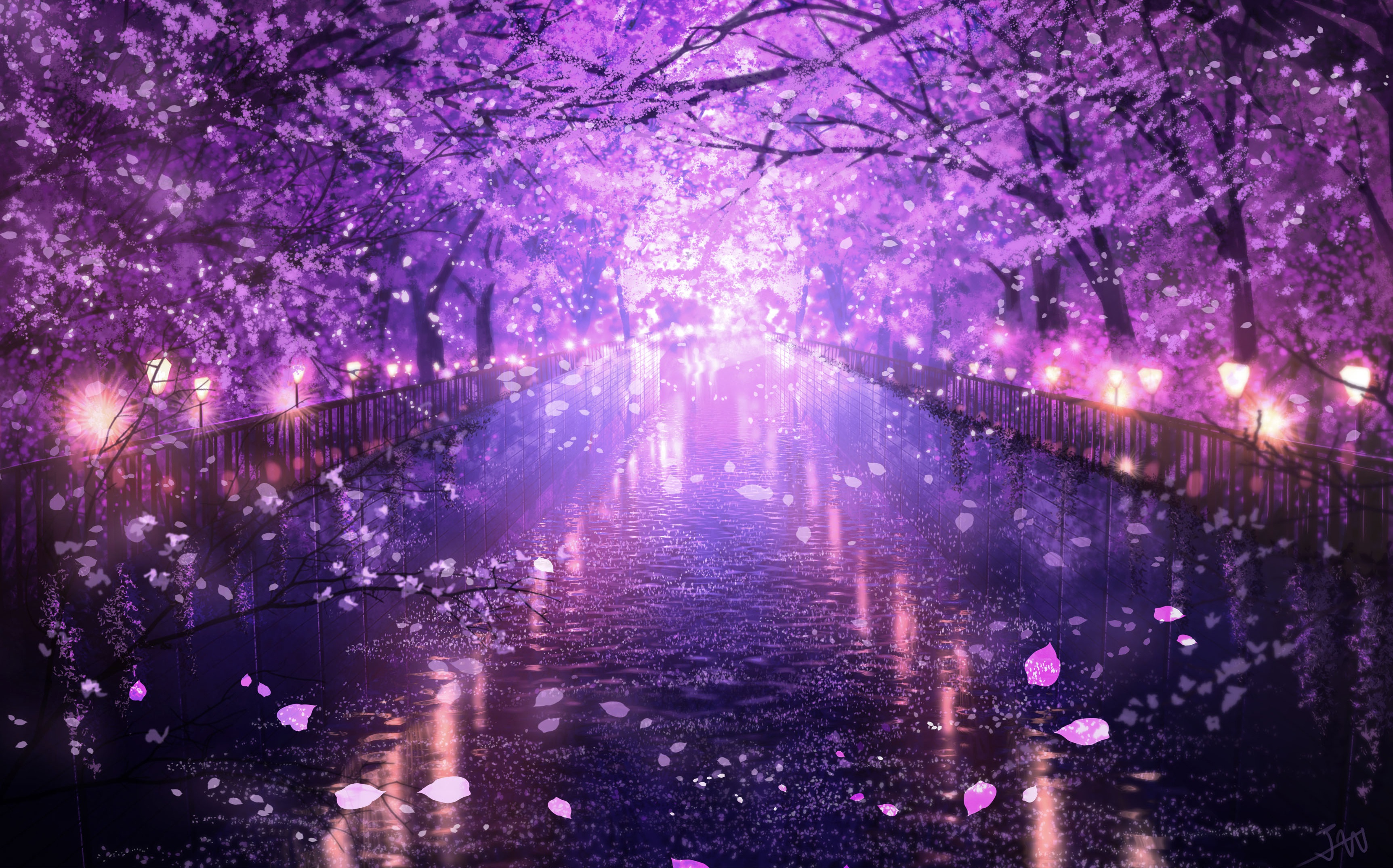 Sakura blossoms over a canal with lanterns HD Wallpaper