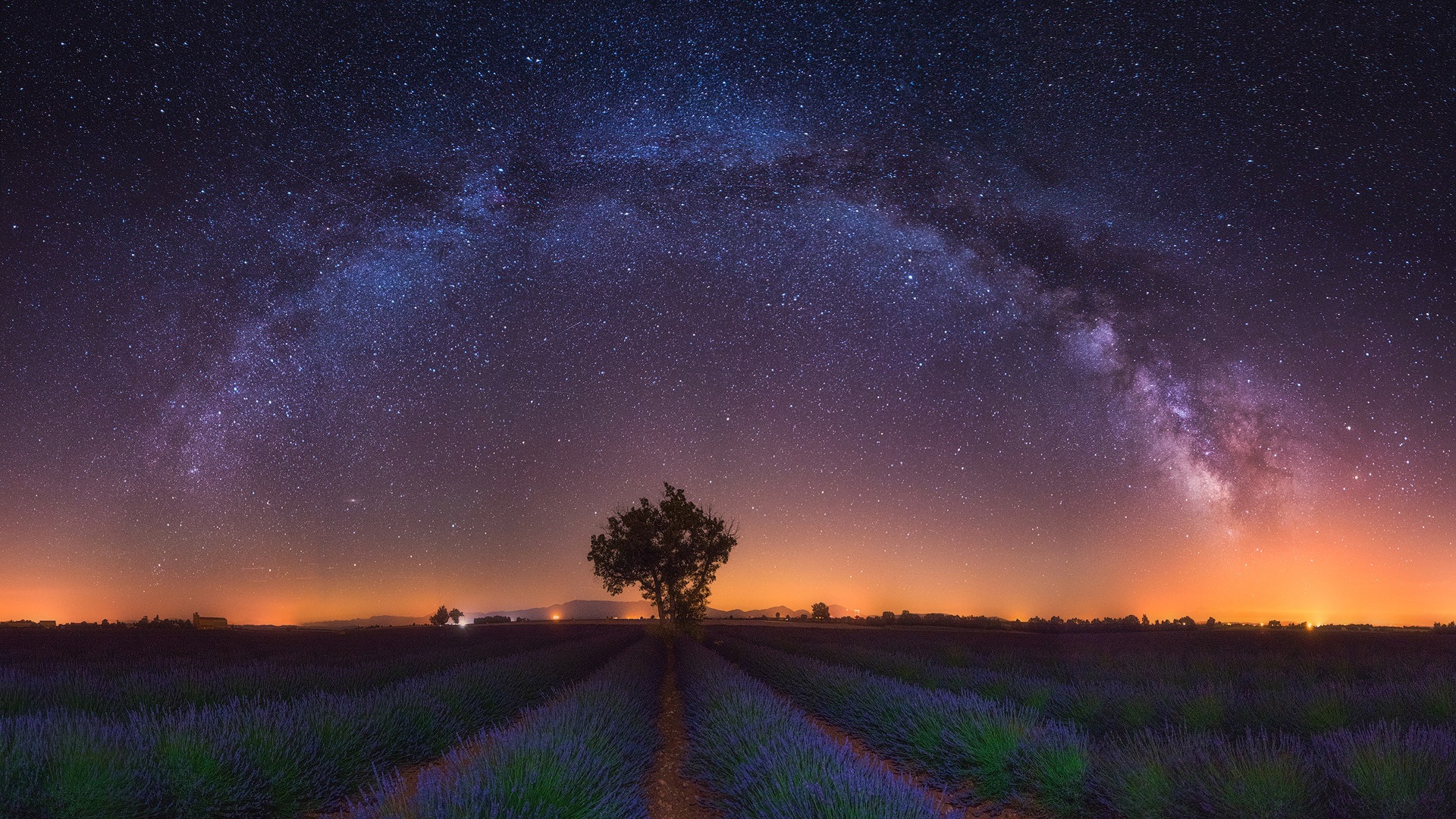 Milky Way over a Lavender Field with a Lone Tree HD Wallpaper