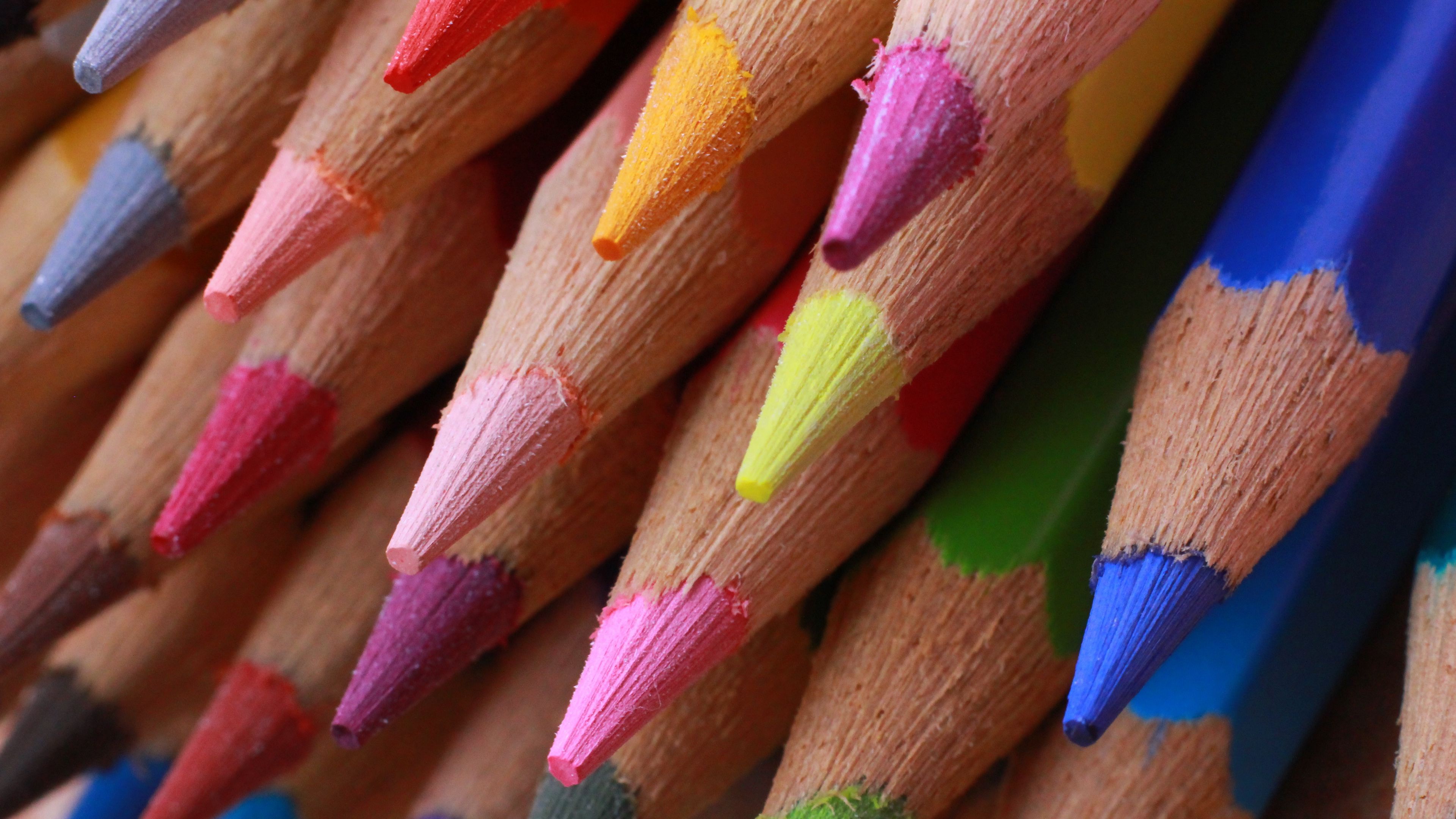Photography of colorful pencils in 4K HD Wallpaper