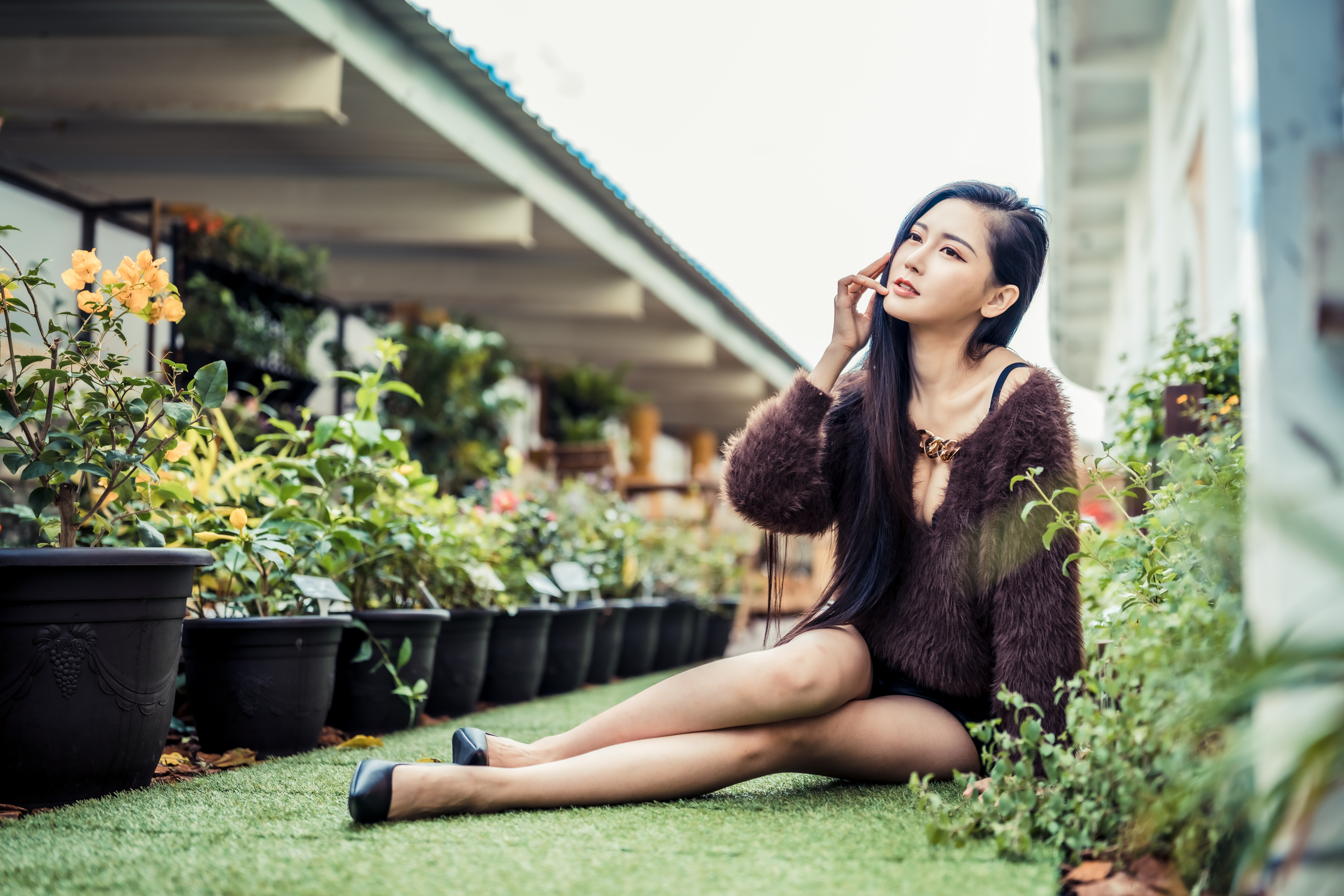 Asian Model with Long Hair in Furry Top HD Wallpaper
