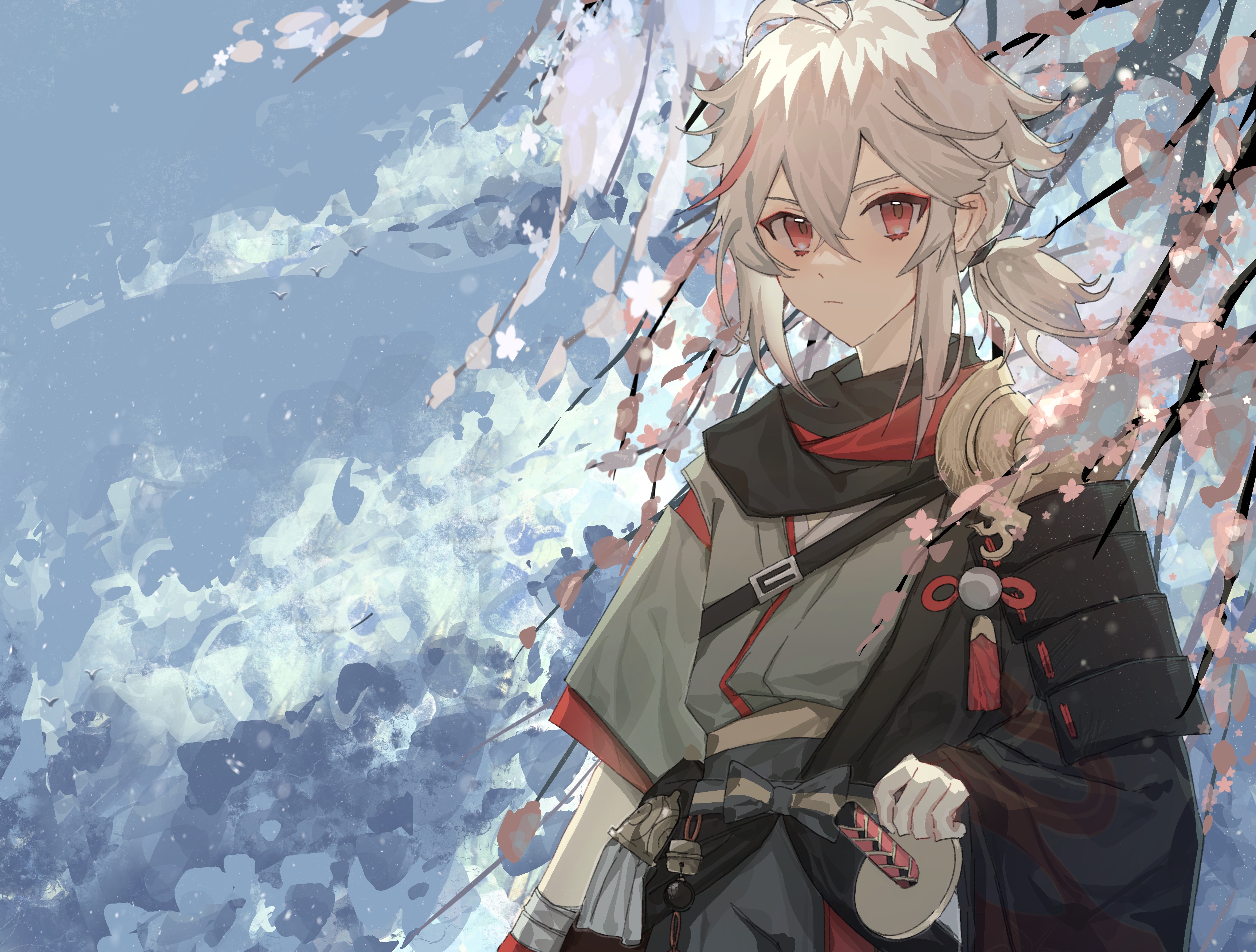 Kaedehara Kazuha with Cherry Blossoms HD Wallpaper