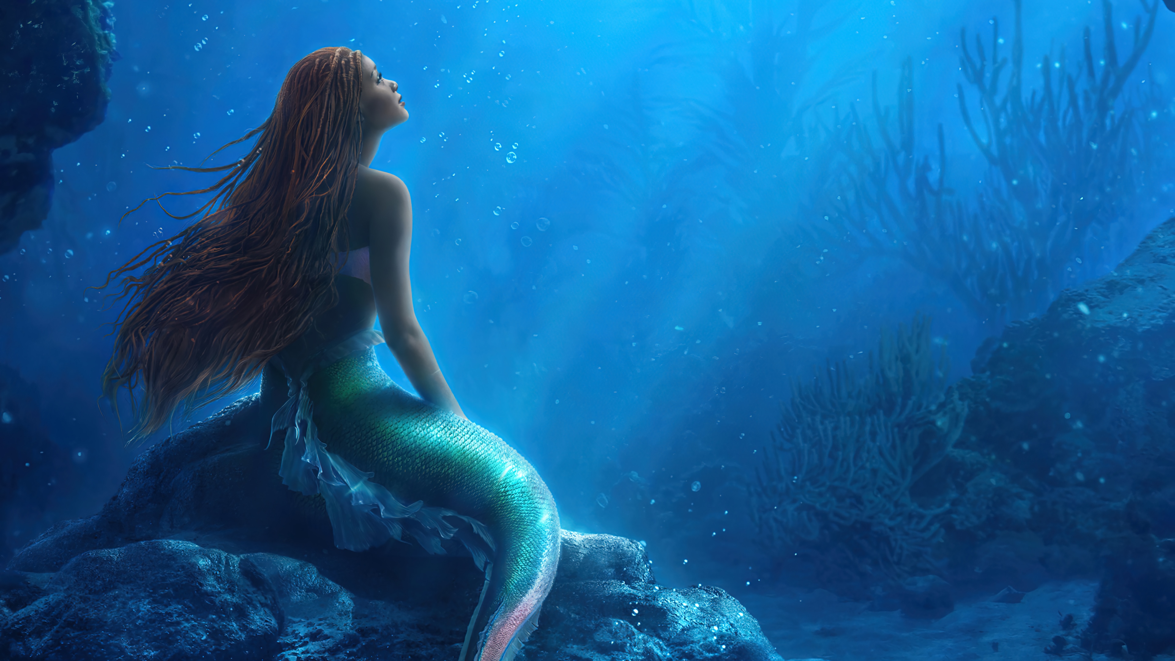 The Little Mermaid 4K HD Wallpaper