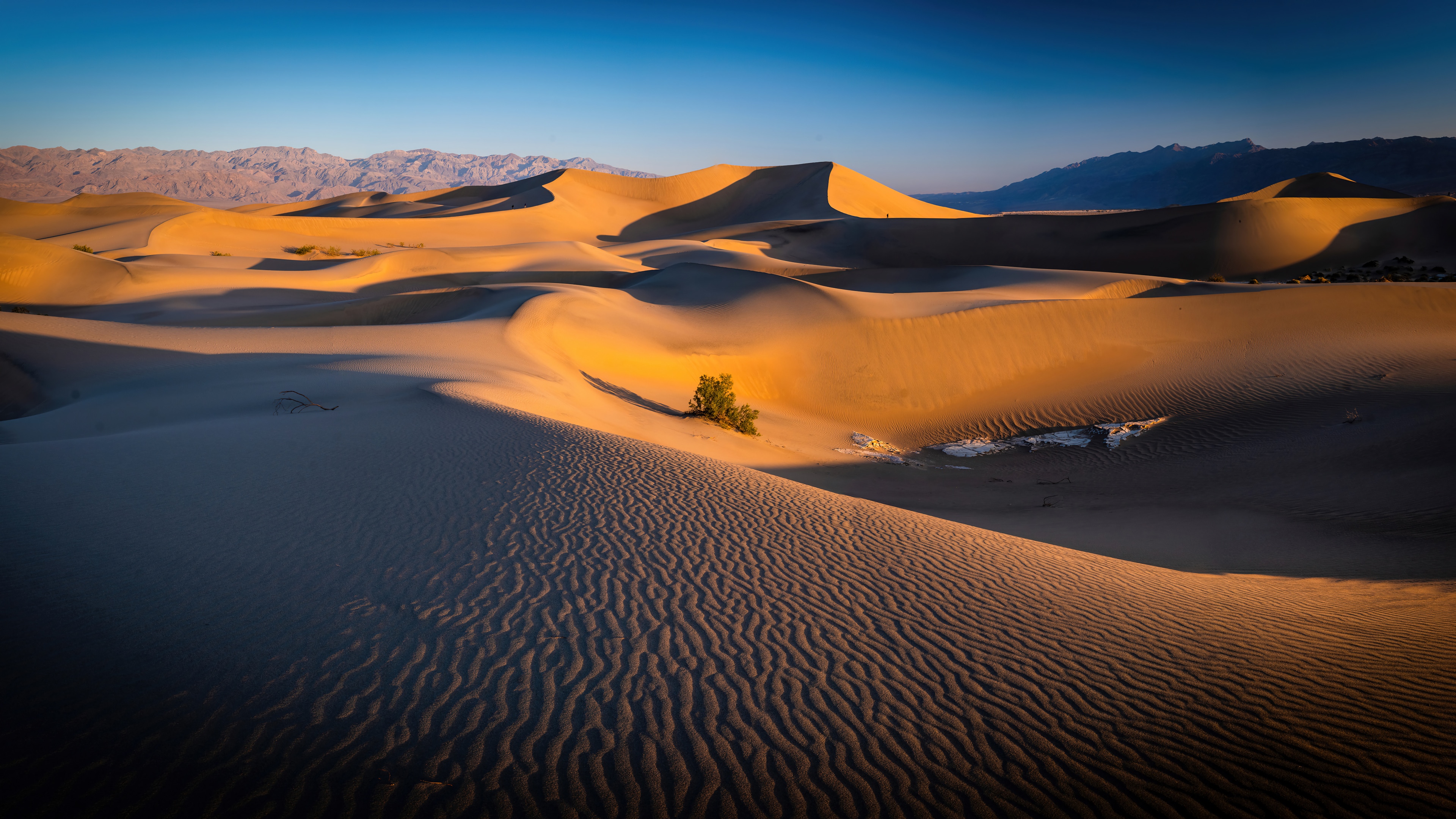 Death Valley Sand Dunes at Sunrise, California 4K HD Wallpaper