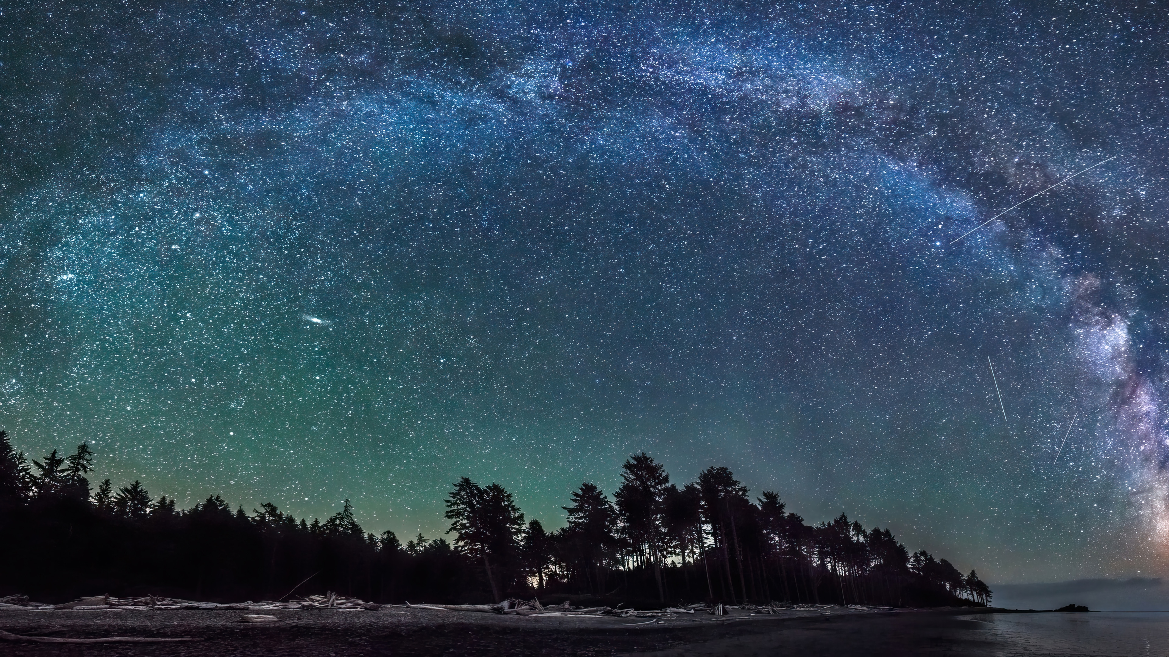 Milky Way over a forest and beach at night 4K HD Wallpaper