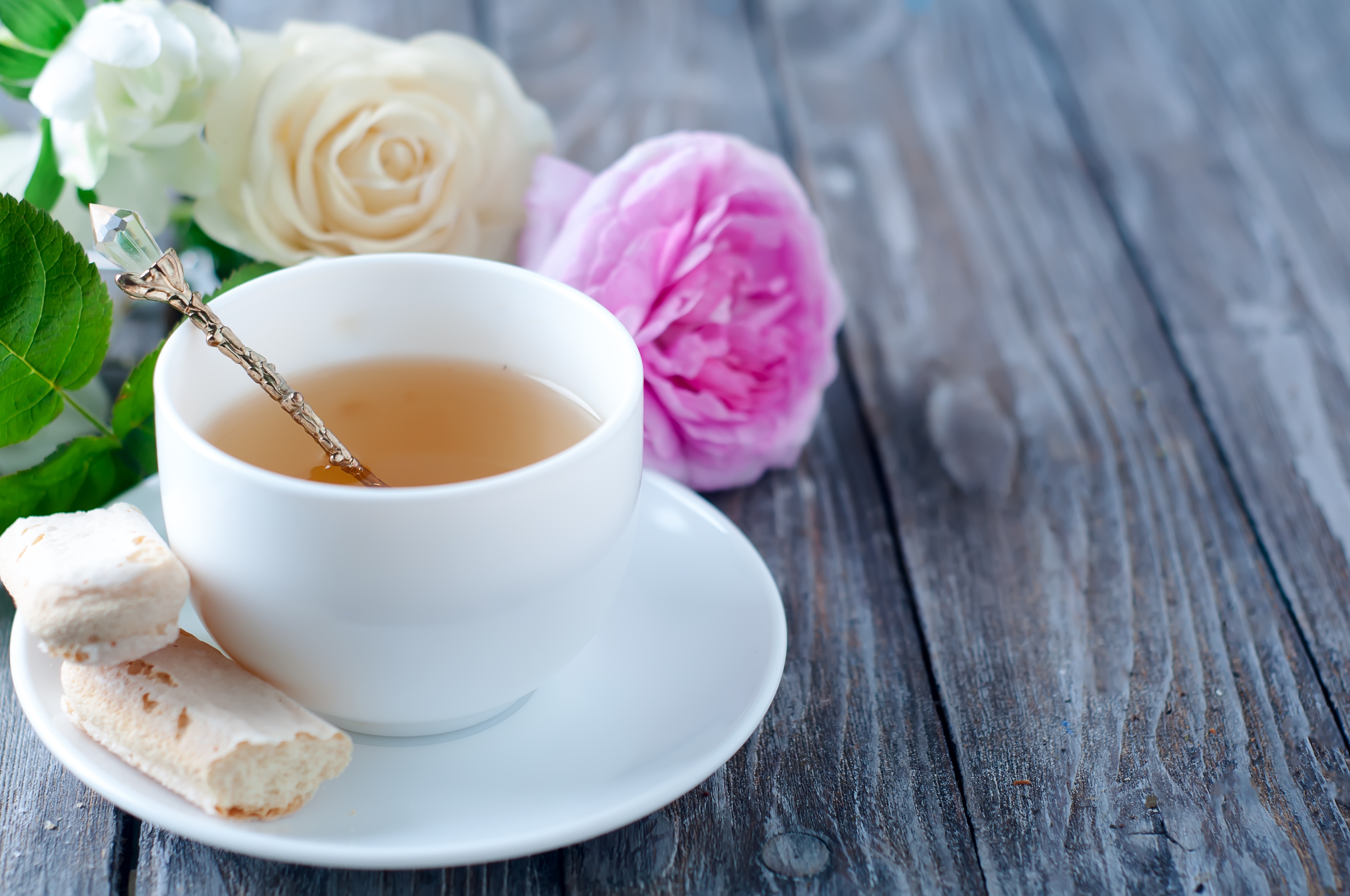 Tea cup with roses and cookies HD Wallpaper