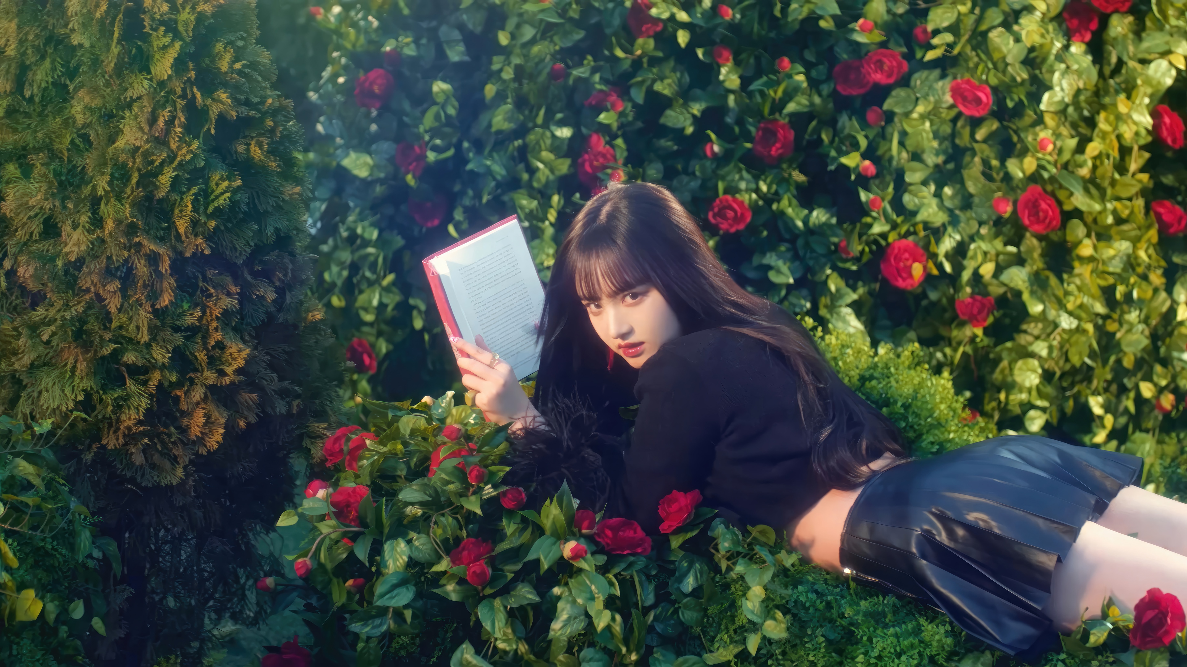 IVE Liz reading a book in a rose garden HD Wallpaper
