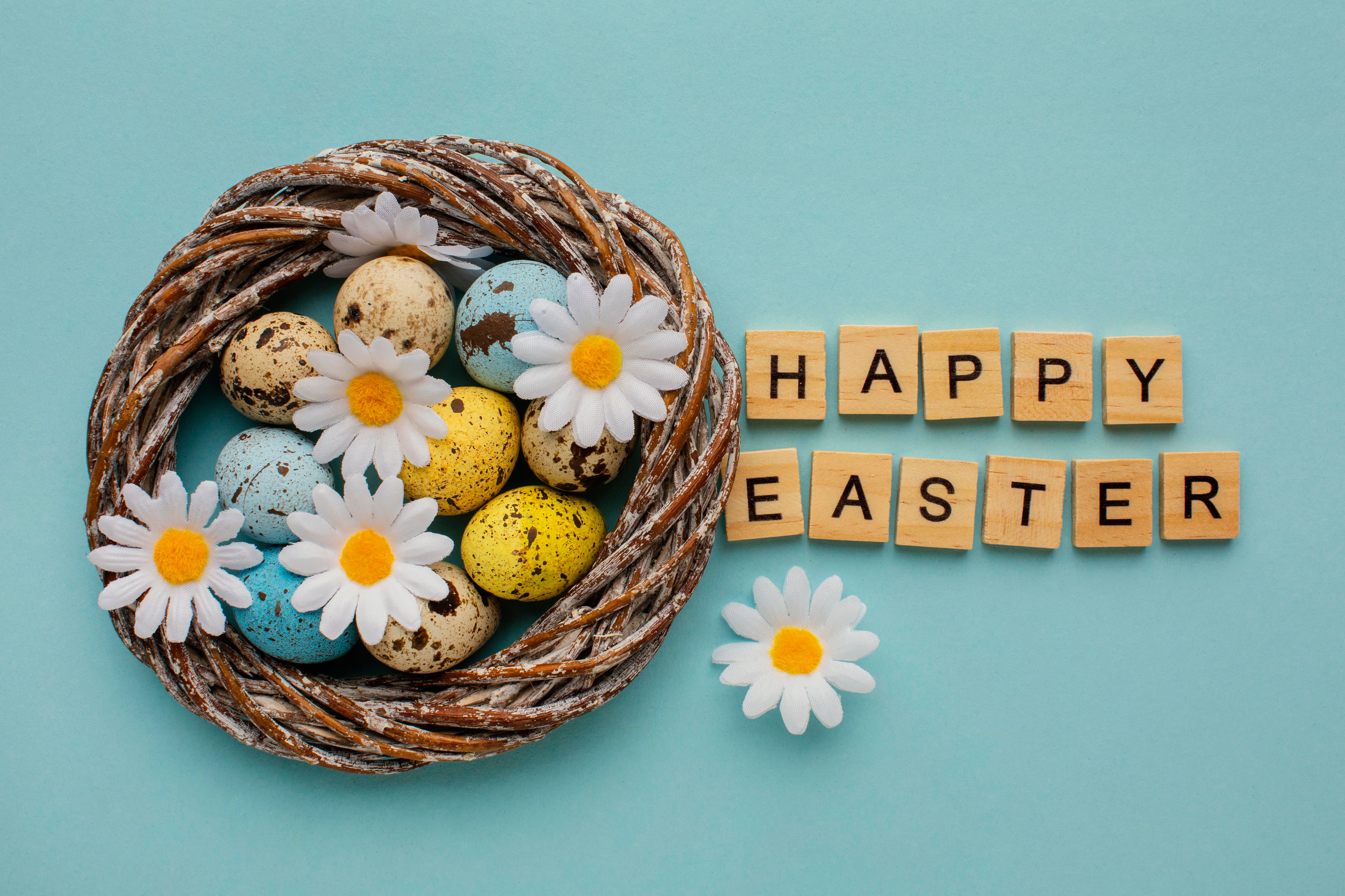 Happy Easter with eggs and camomile flowers HD Wallpaper