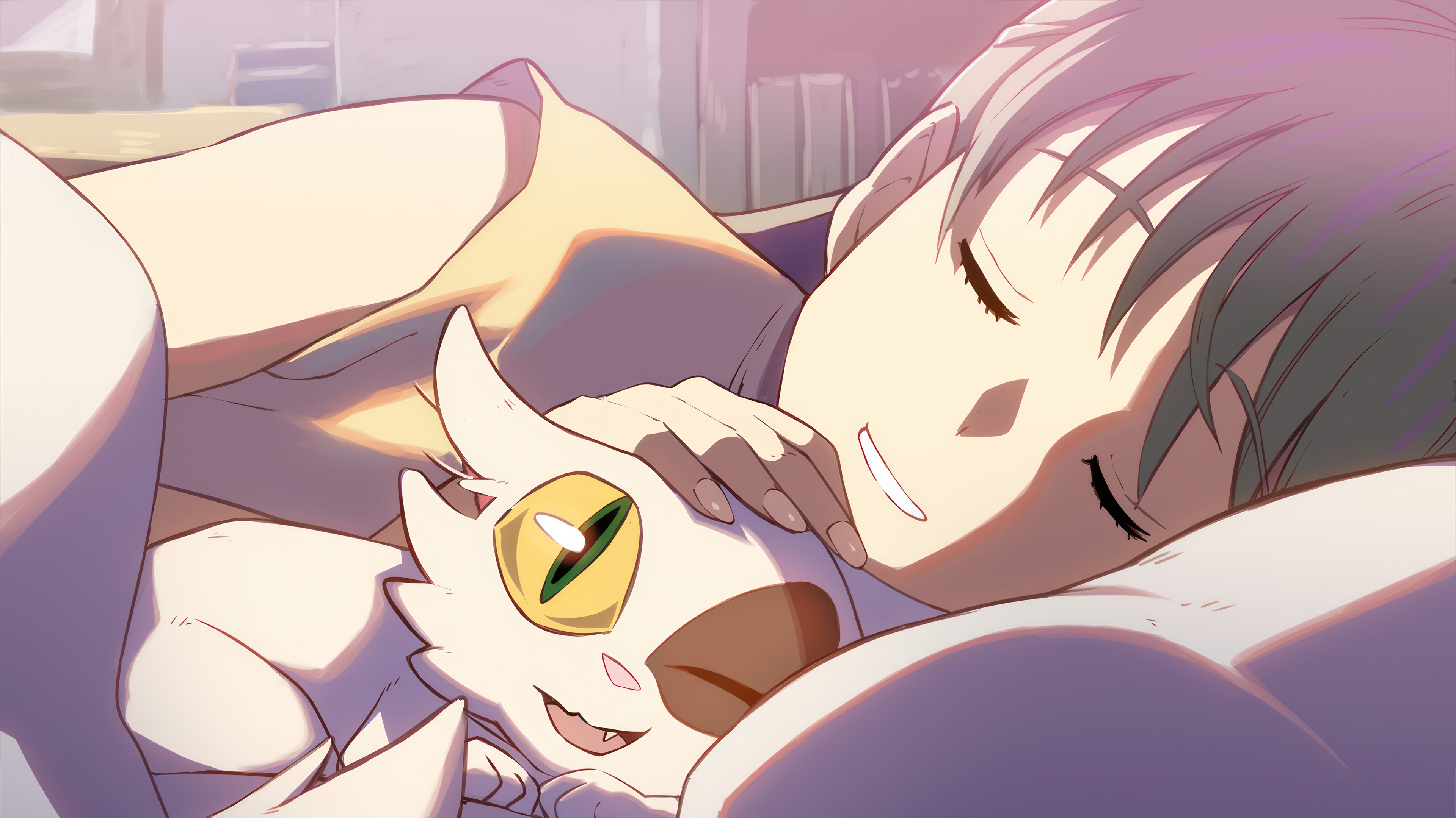 Suzume No Tojimari: Suzume and Daijin Sleeping HD Wallpaper