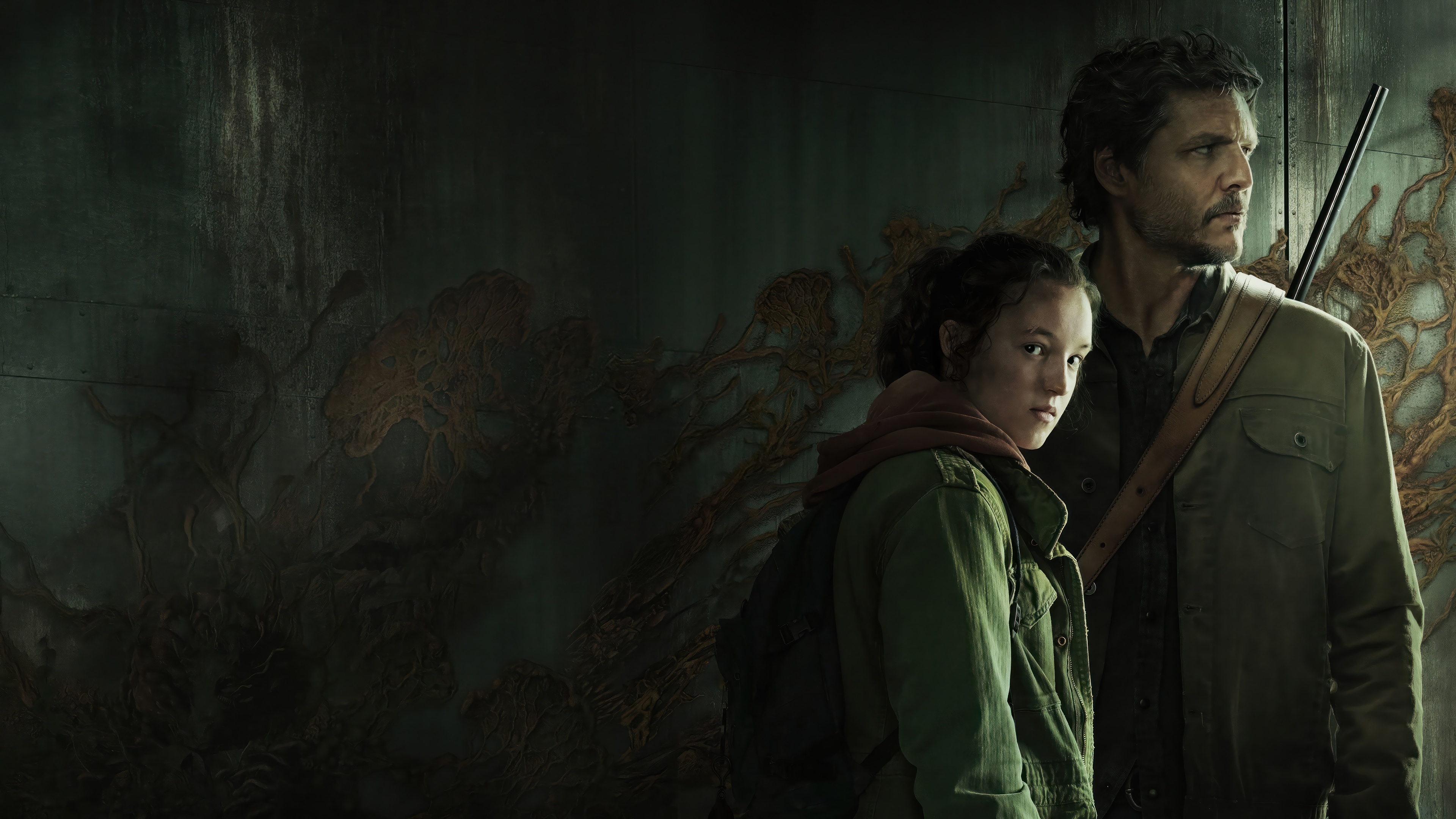The Last of Us Series 4K HD Wallpaper