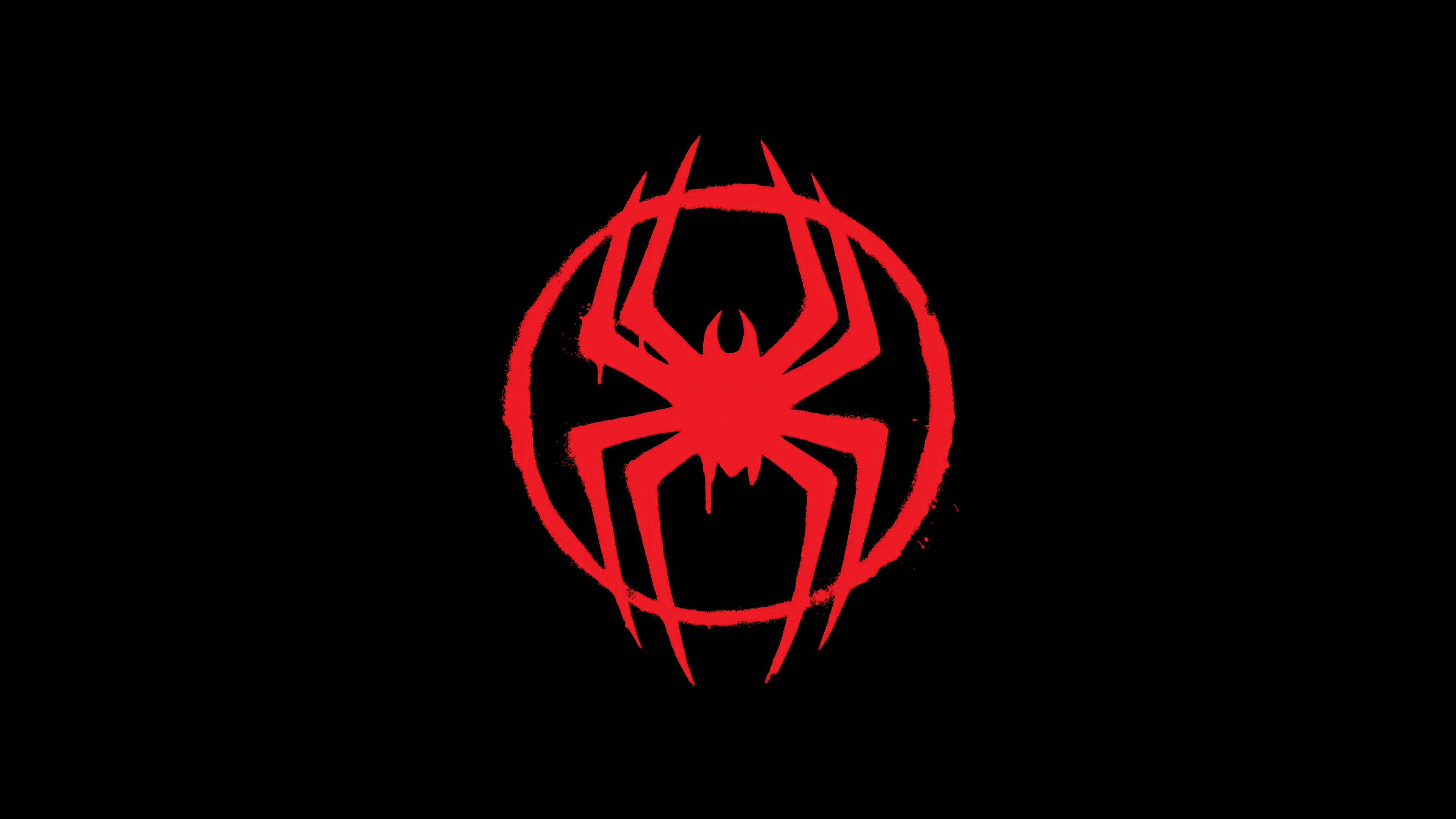 Miles Morales Spider-Man: Across the Spider-Verse 4K HD Wallpaper