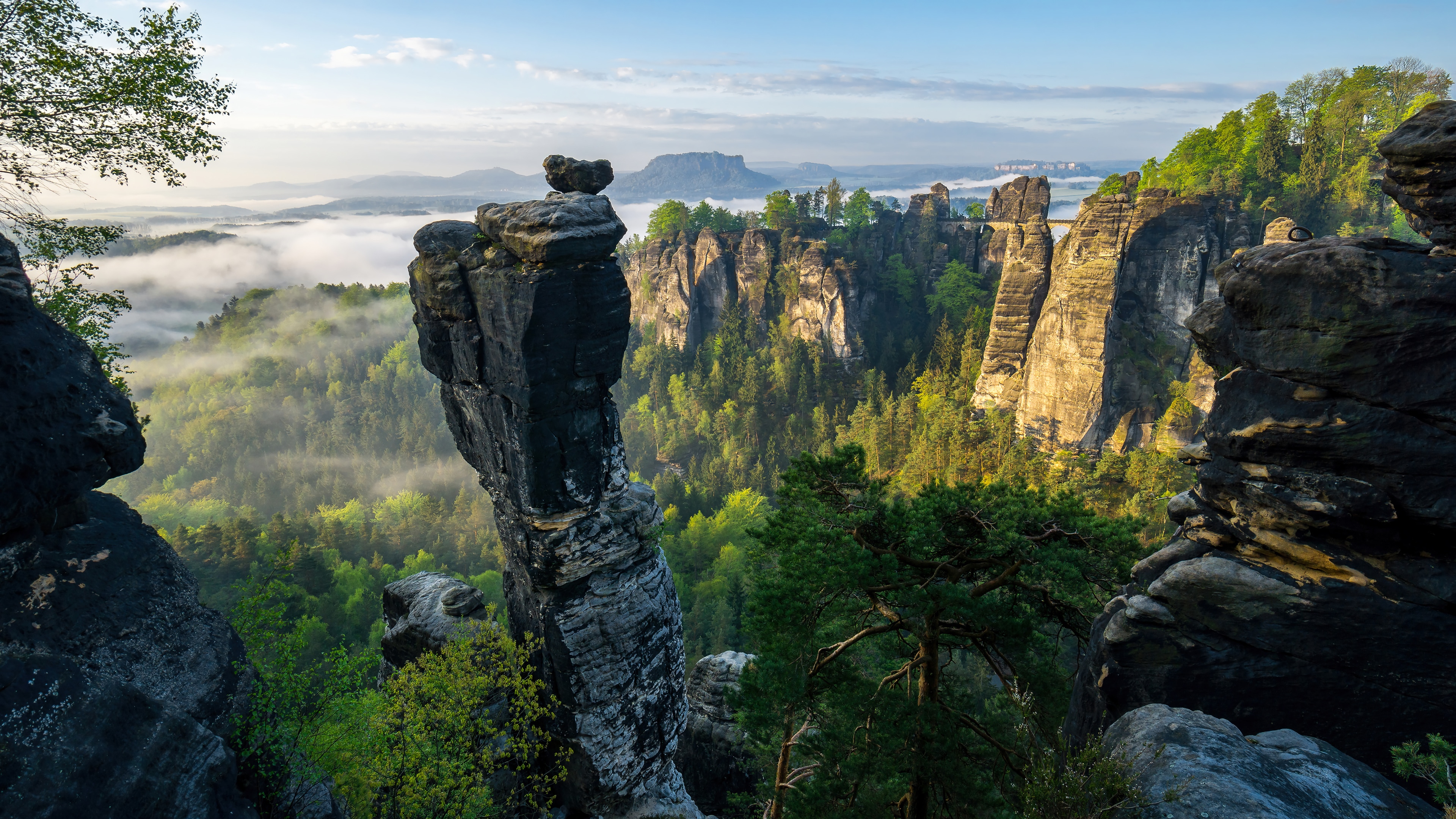 Rock formations and forest in Saxon Switzerland National Park 4K HD Wallpaper