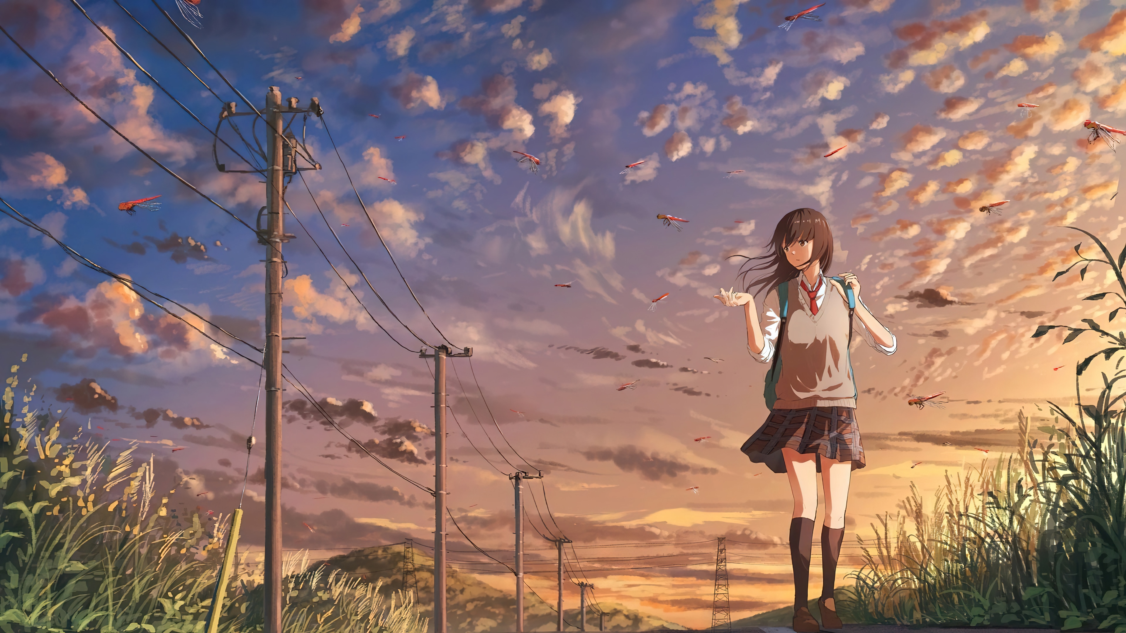 Anime girl walking with dragonflies at sunset 4K HD Wallpaper