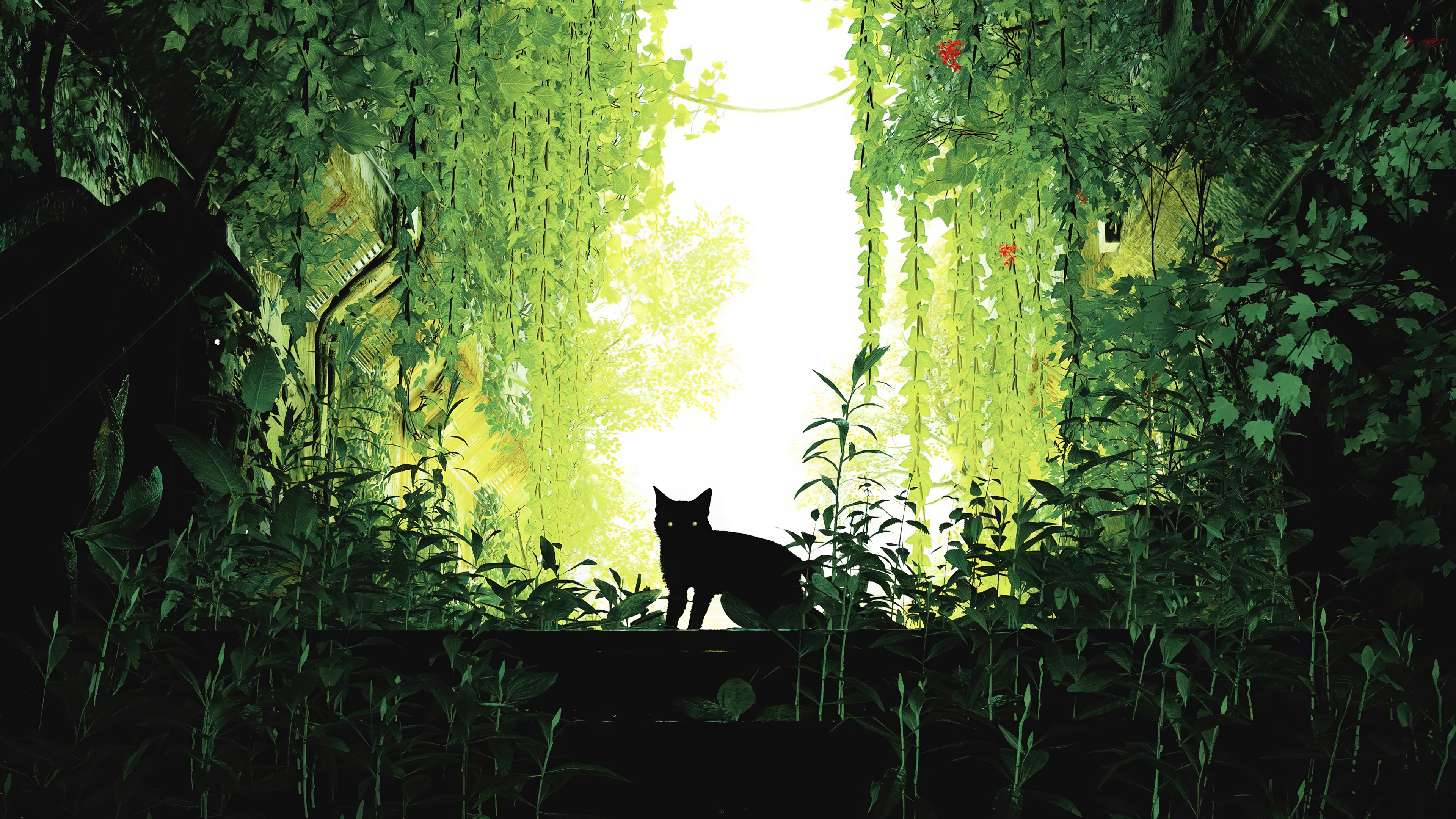 Stray 4K: Cat in a Green Overgrown Environment HD Wallpaper