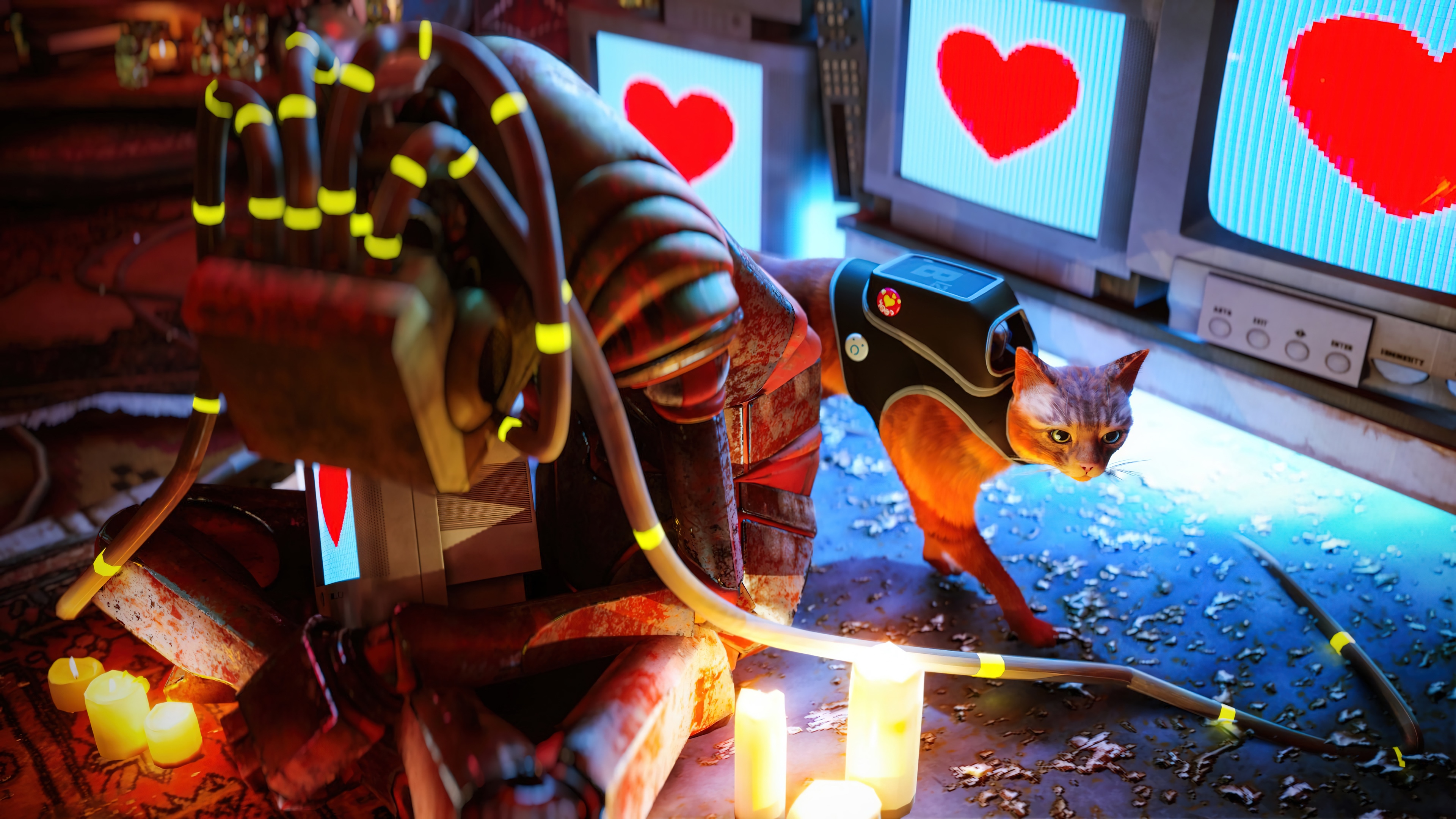 Stray Game 4K HD Wallpaper