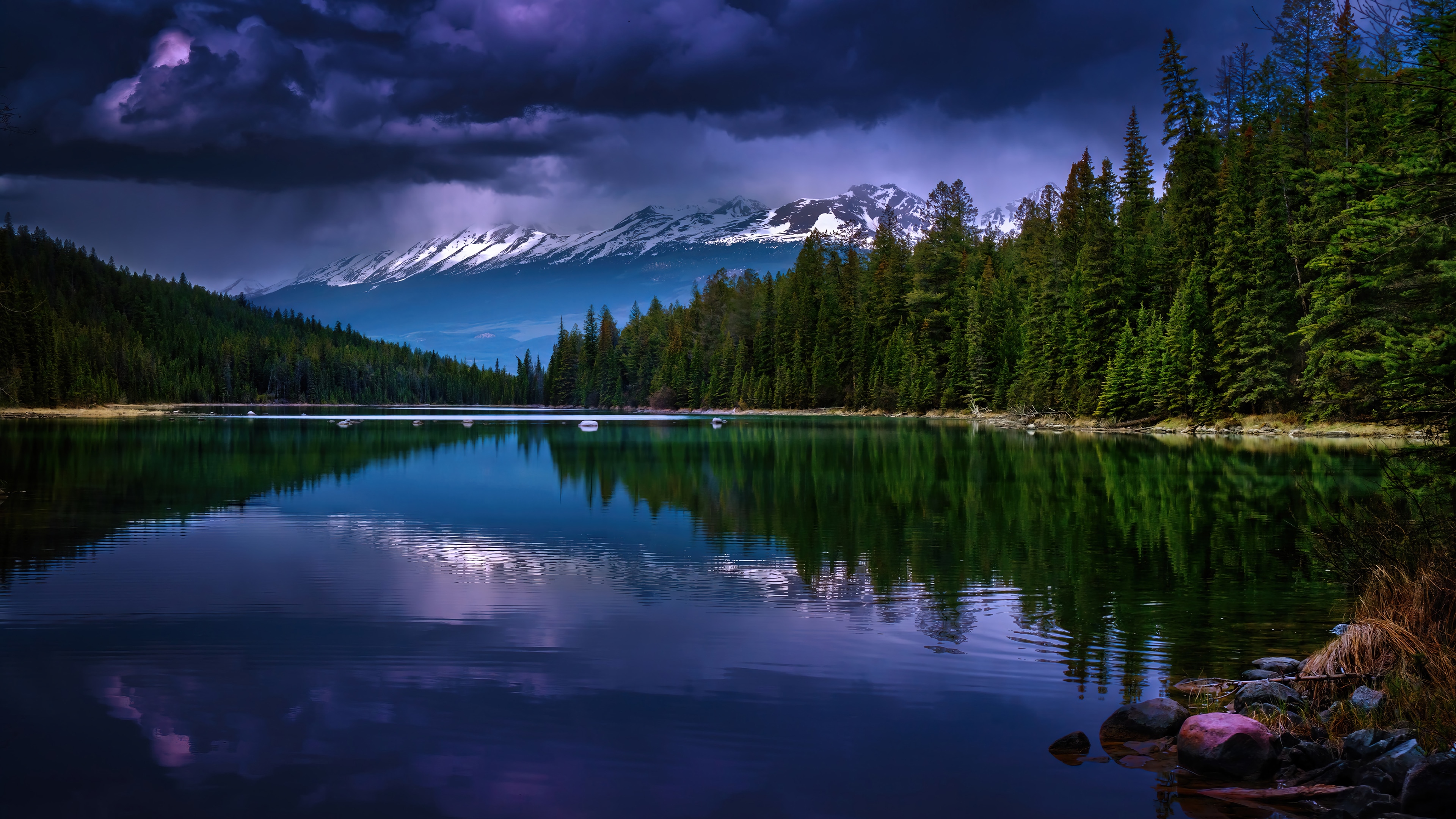 4K Forest River Scenery with Pine Trees and Mountains HD Wallpaper
