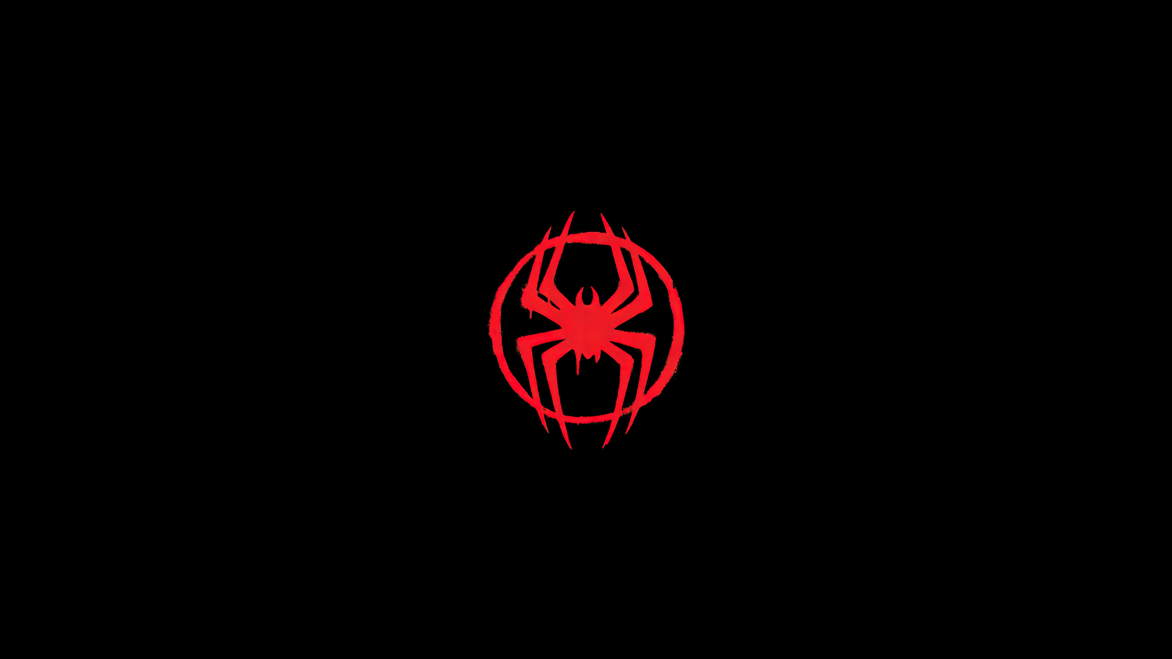 Spider-Man: Across the Spider-Verse 4K HD Wallpaper