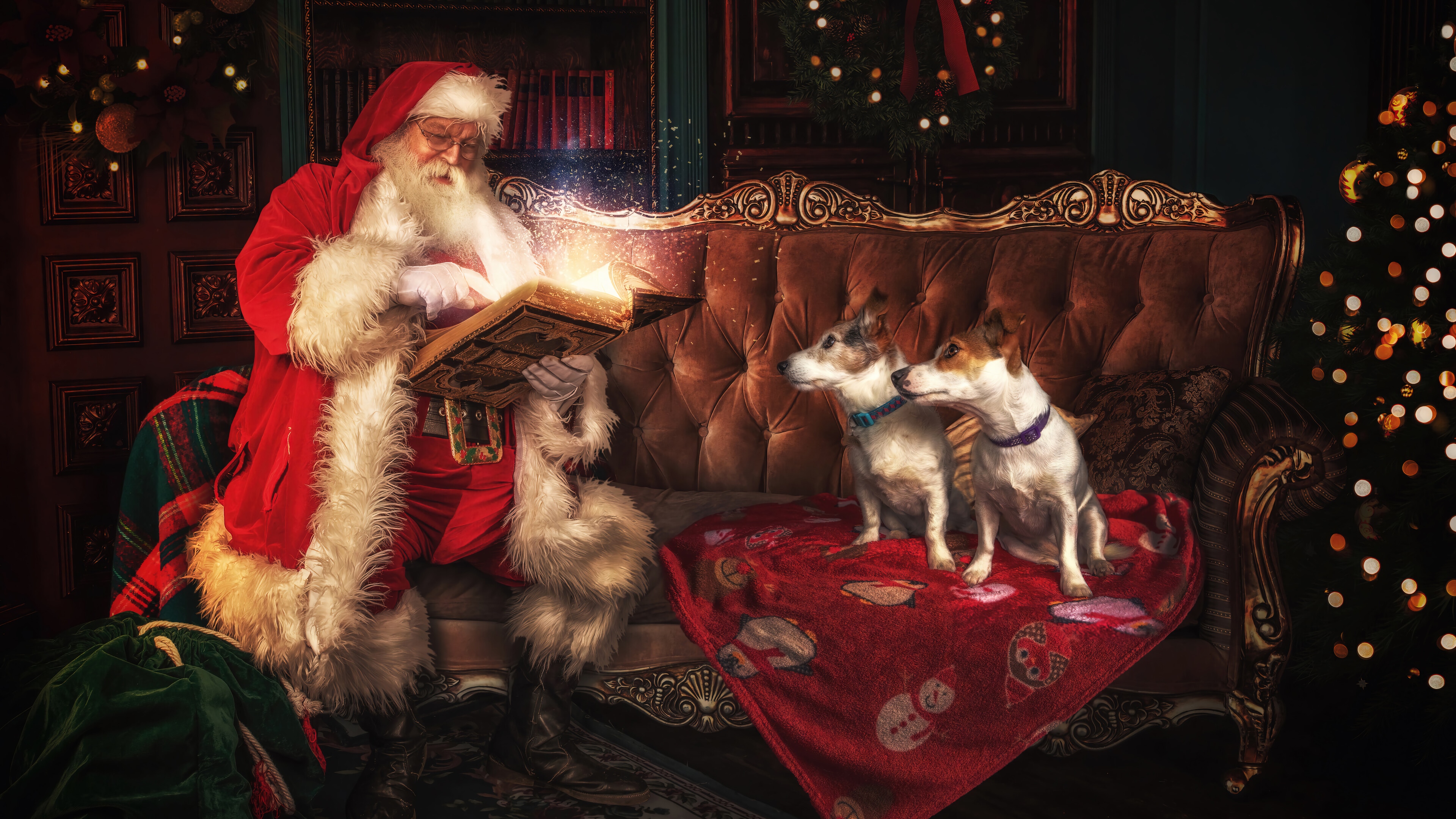 Santa Claus reading a book with two dogs HD Wallpaper