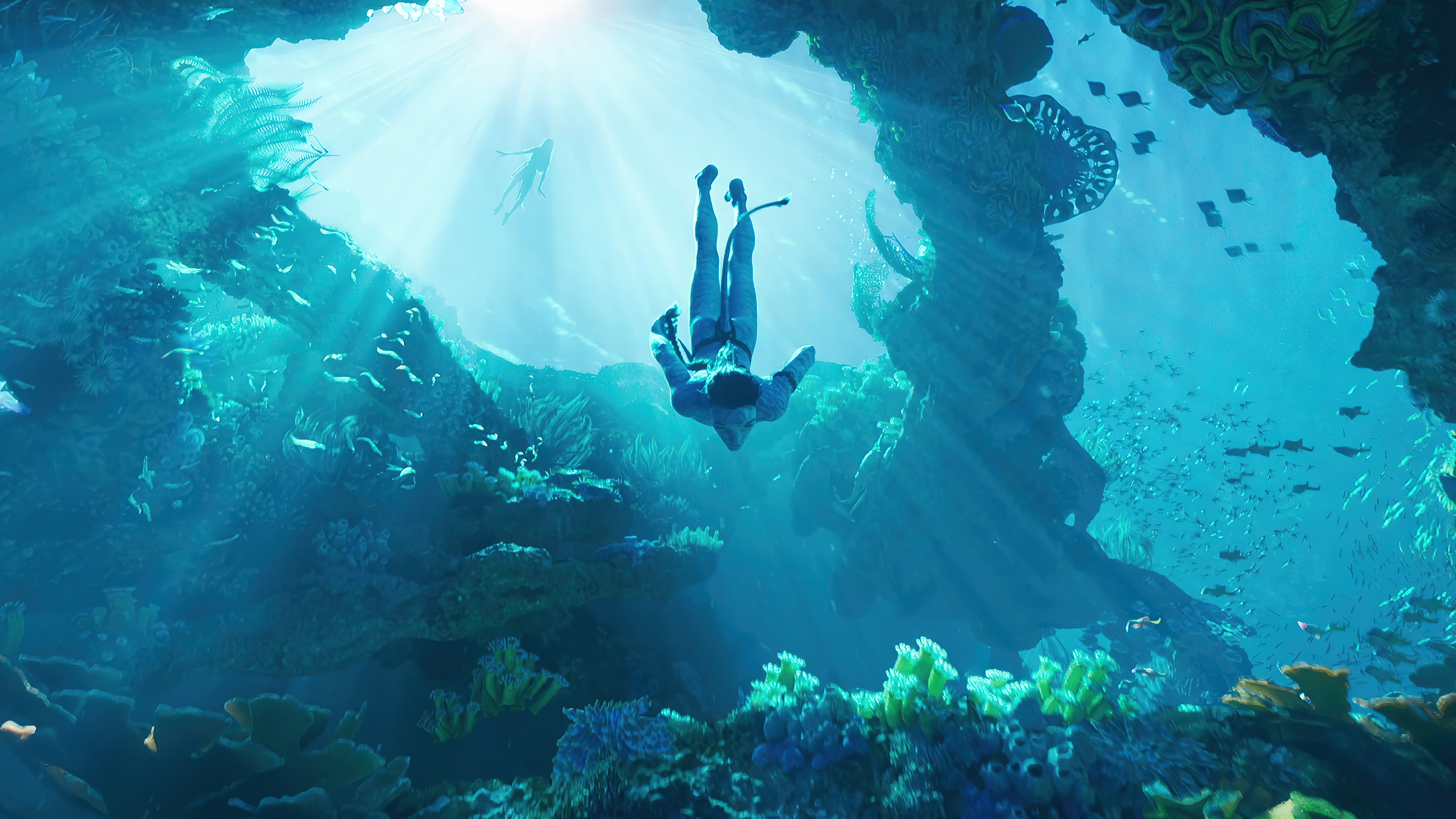Avatar: The Way of the Water Underwater Scene 4K HD Wallpaper