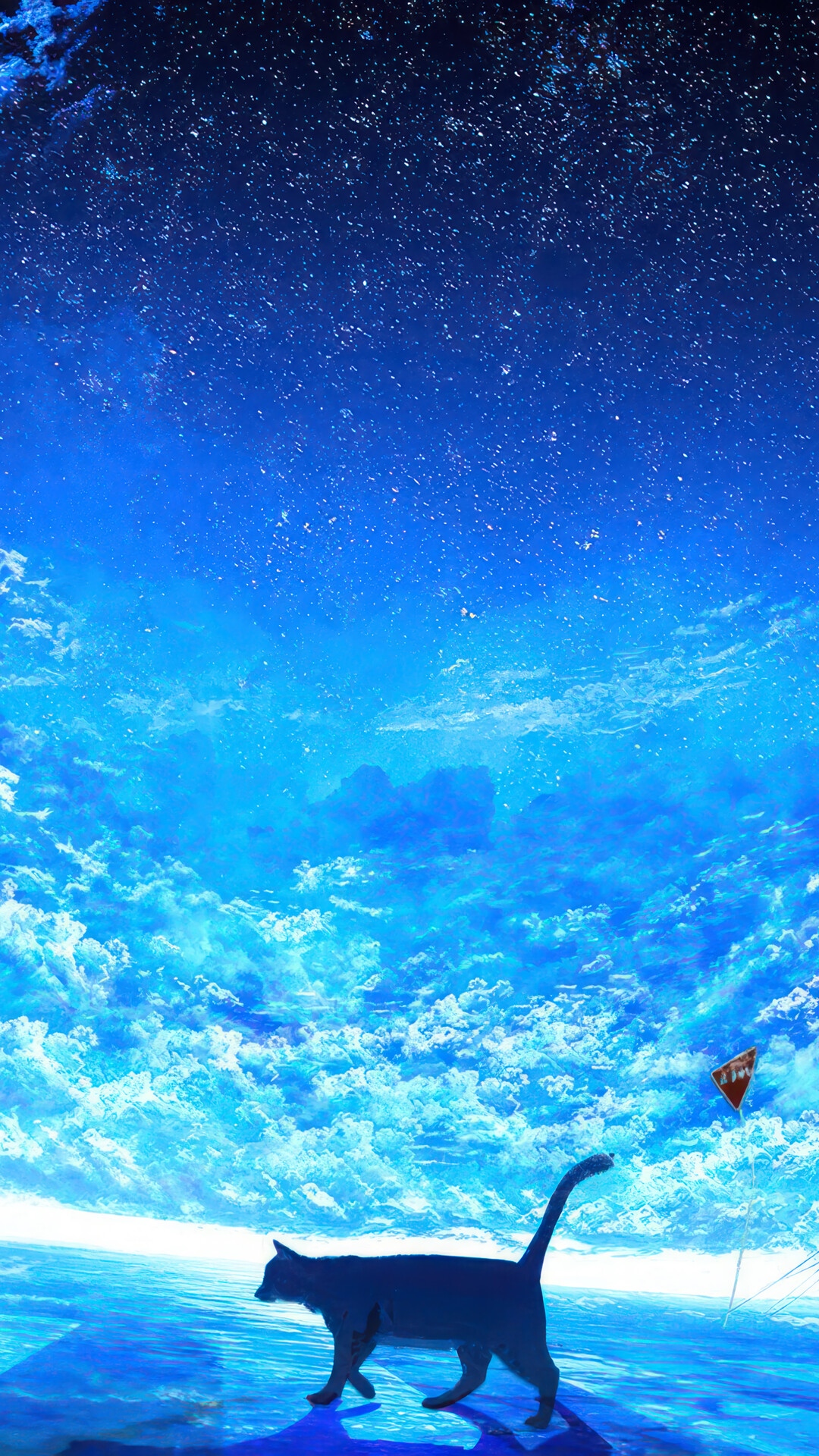 Cat walking under a starry sky with clouds HD Phone Wallpaper