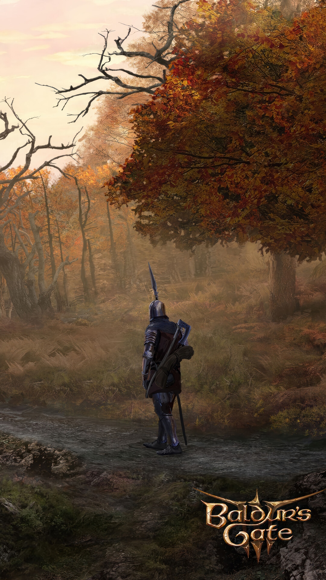 Baldur's Gate 3 Knight in Autumn Forest HD Phone Wallpaper