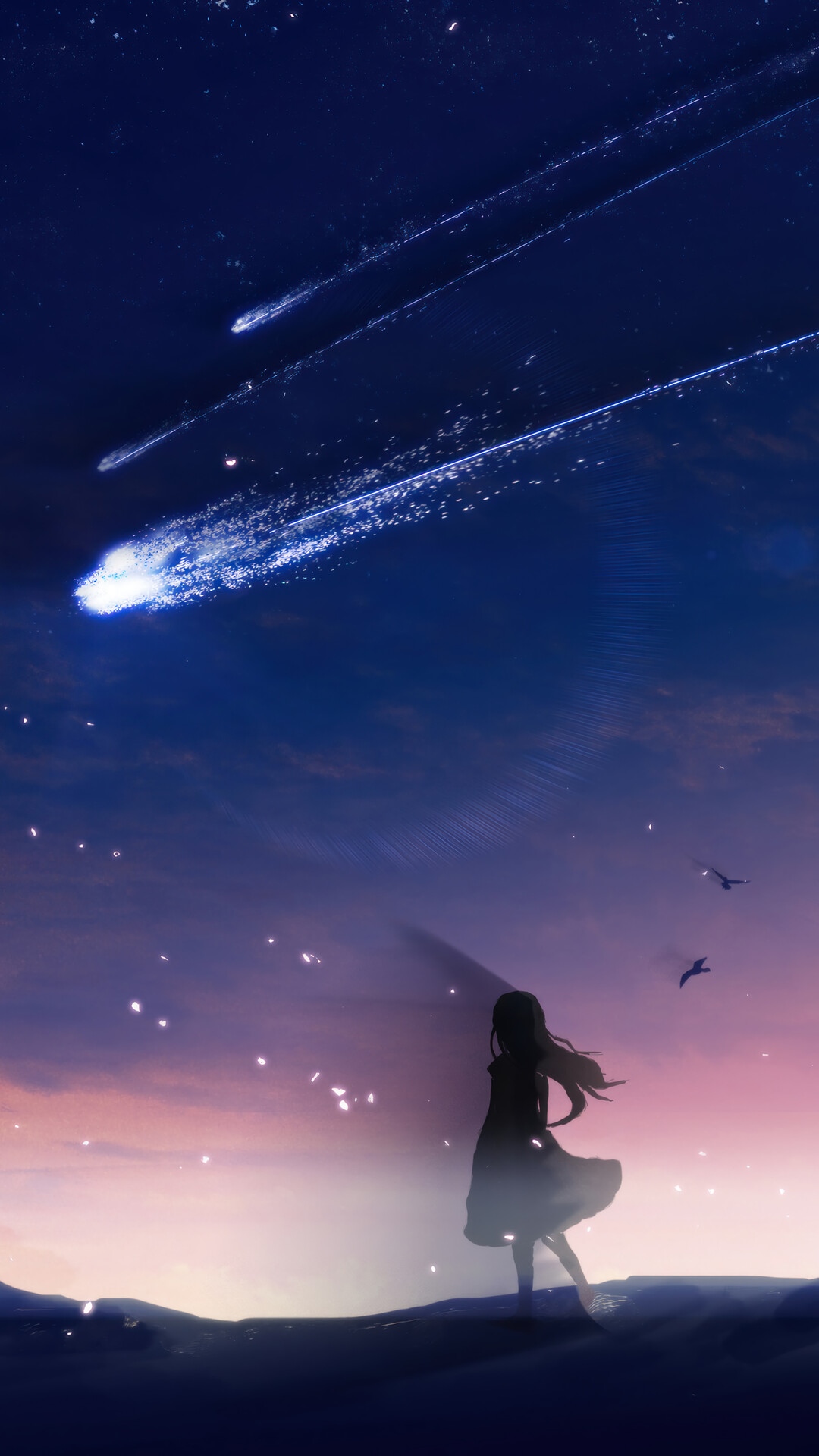 Anime girl watching comets in the night sky HD Phone Wallpaper