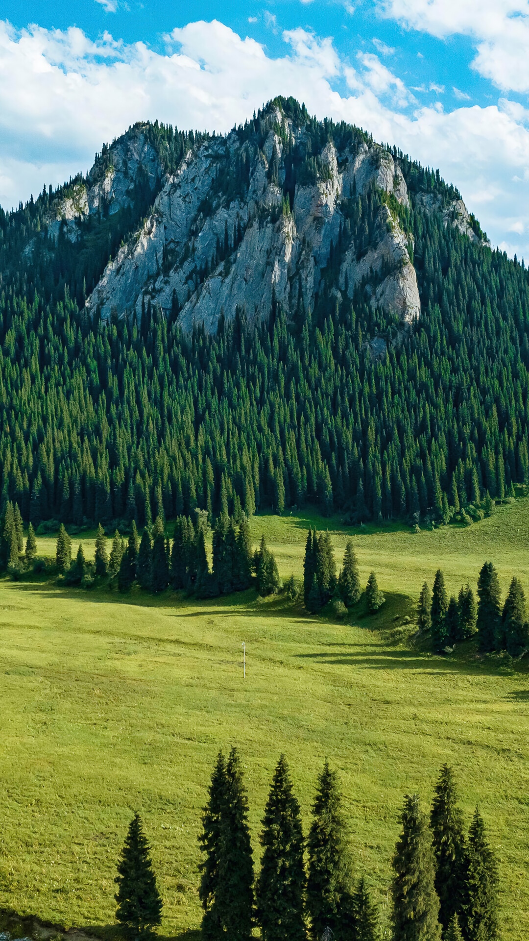 Mountain forest scenery with green fields and blue sky HD Phone Wallpaper