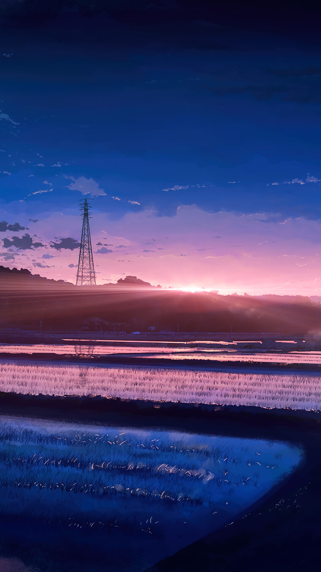 Anime Scenery of a Rice Field at Sunrise HD Phone Wallpaper