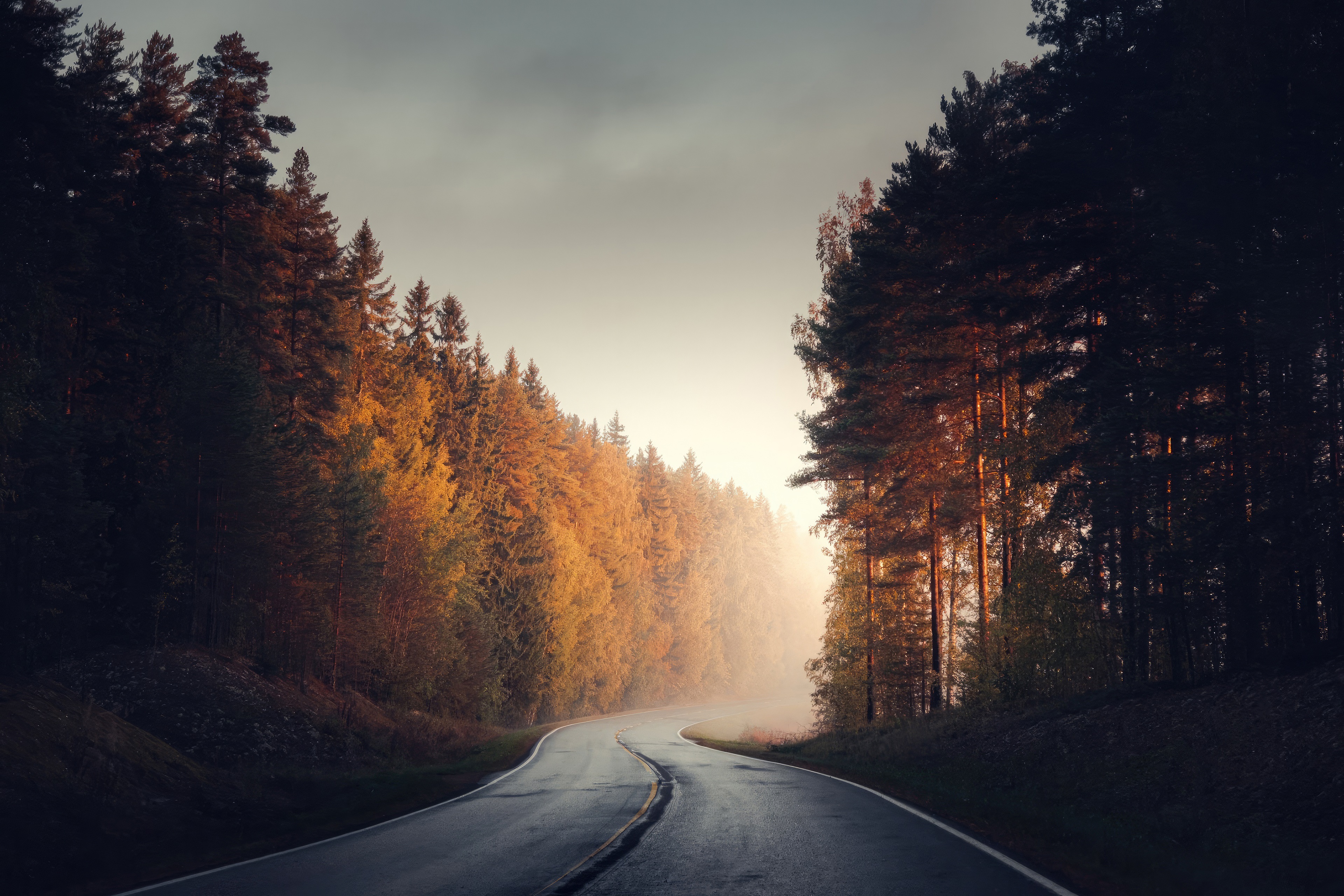 Winding road through autumn forest with fog HD Wallpaper