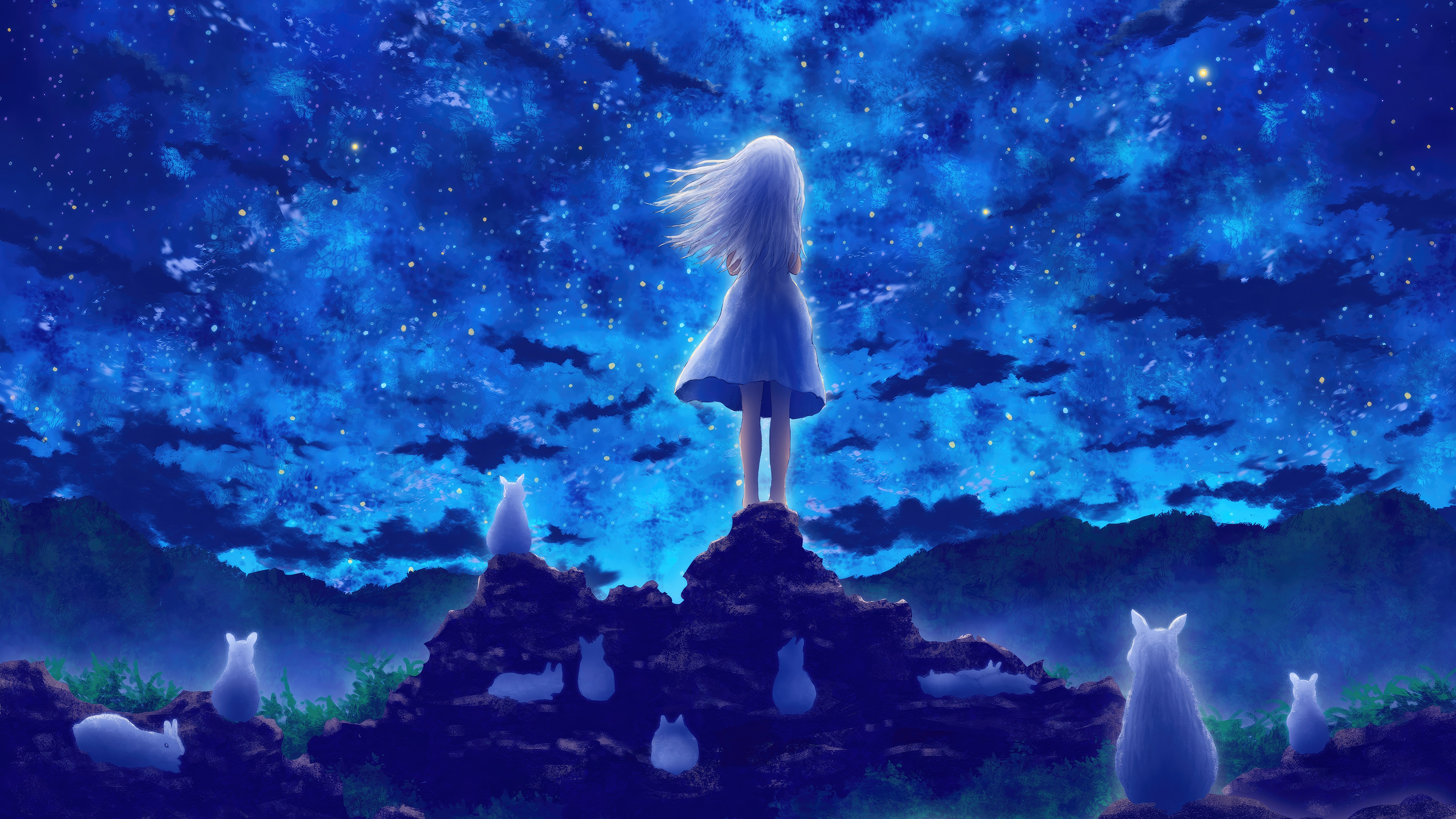Anime girl and spirit animals under a starry sky HD Wallpaper
