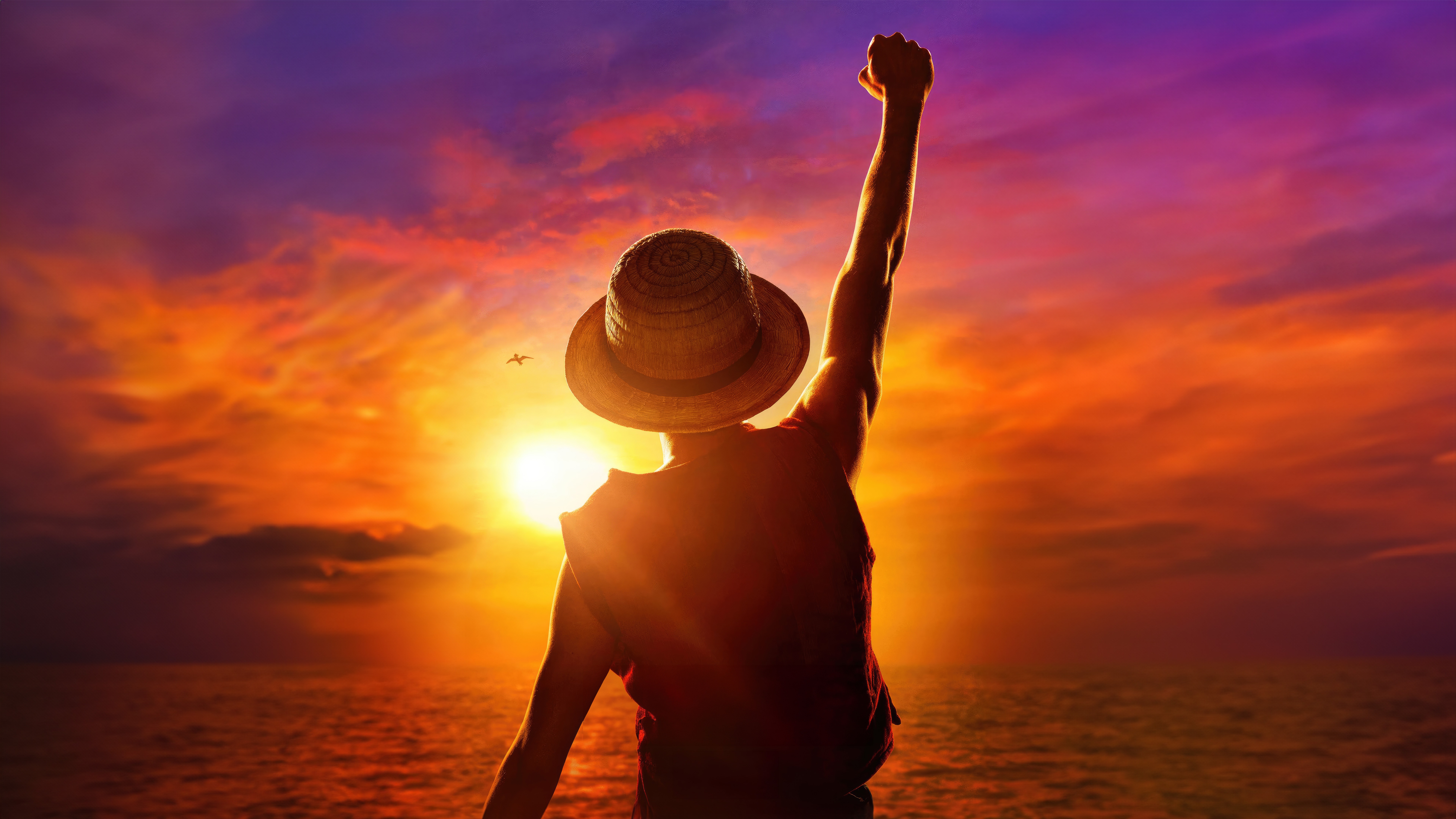 One Piece character with fist raised at sunset HD Wallpaper