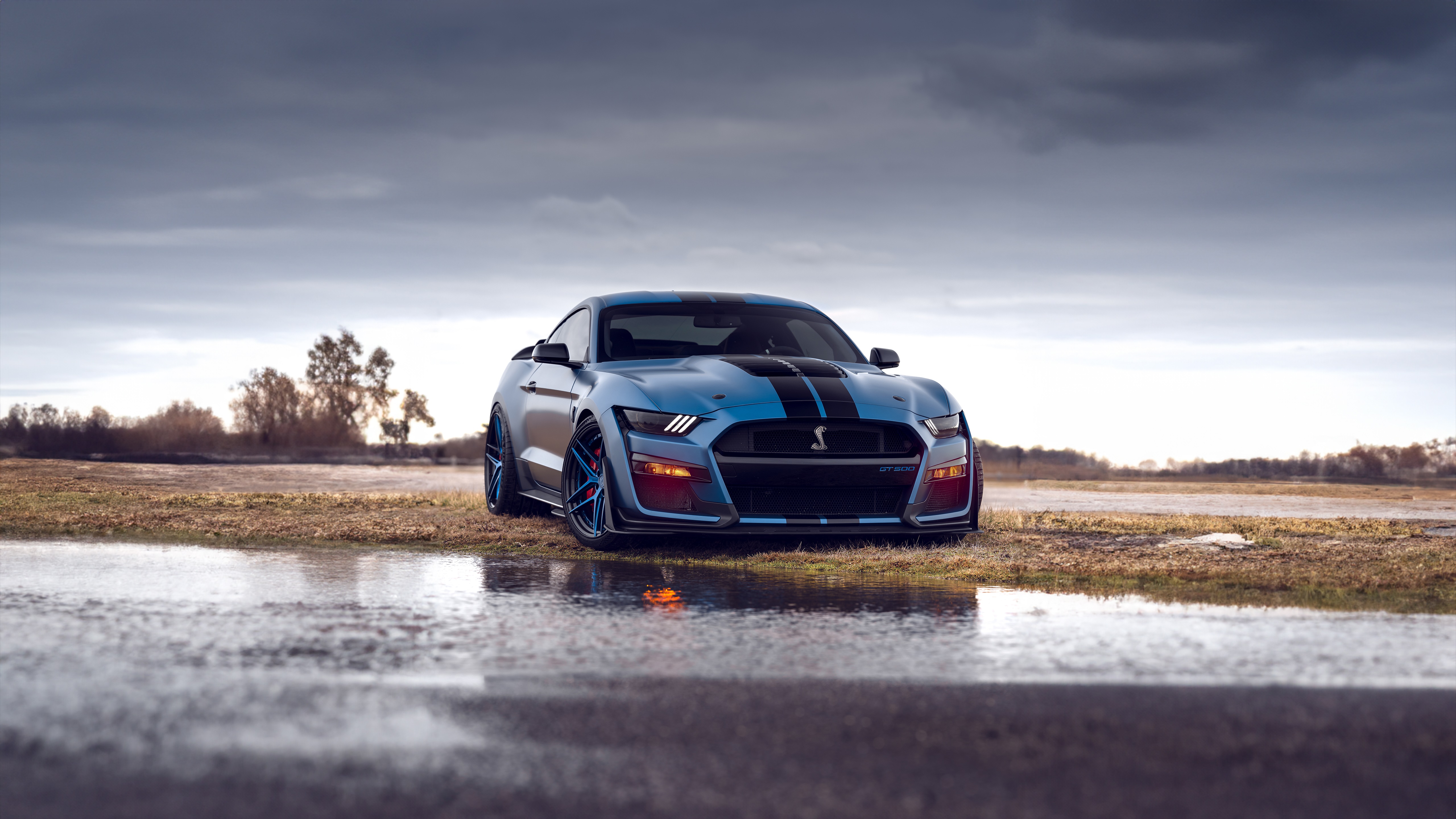 Blue Ford Mustang Shelby GT500 on Wet Ground HD Wallpaper