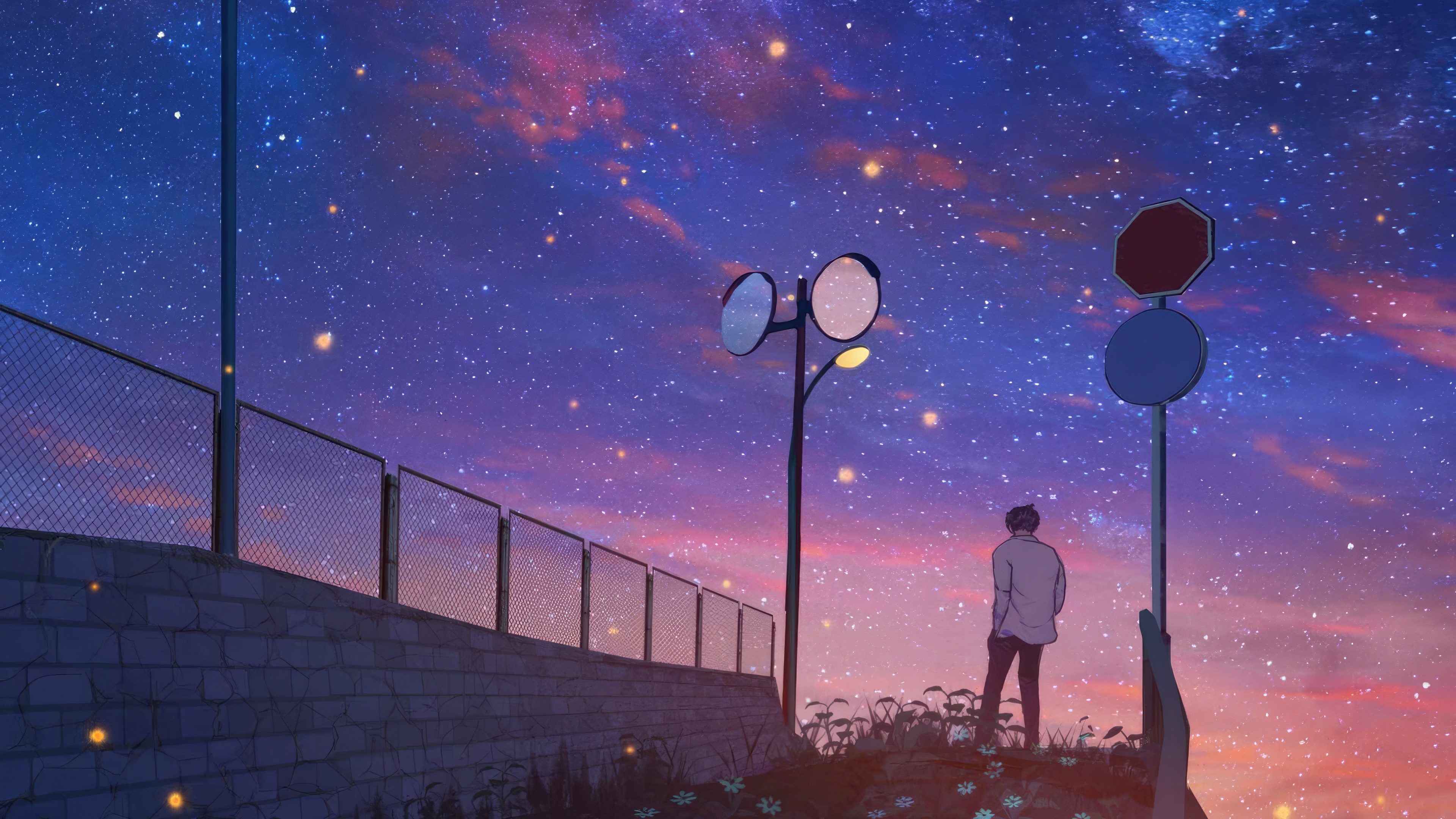 Anime boy looking at a starry sky HD Wallpaper