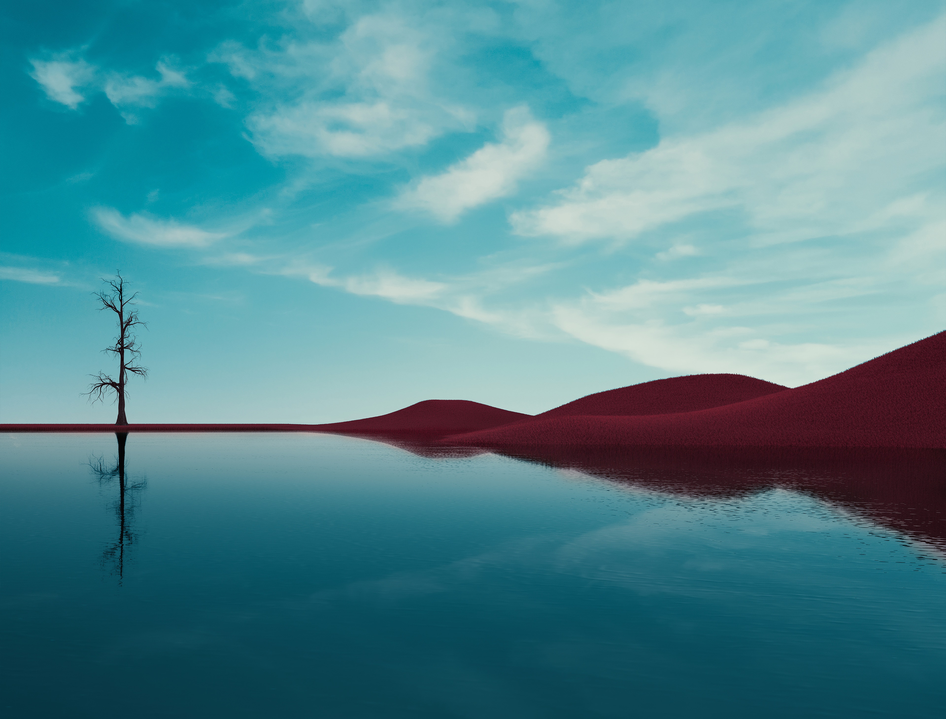 4K desert landscape with dead tree and reflection HD Wallpaper