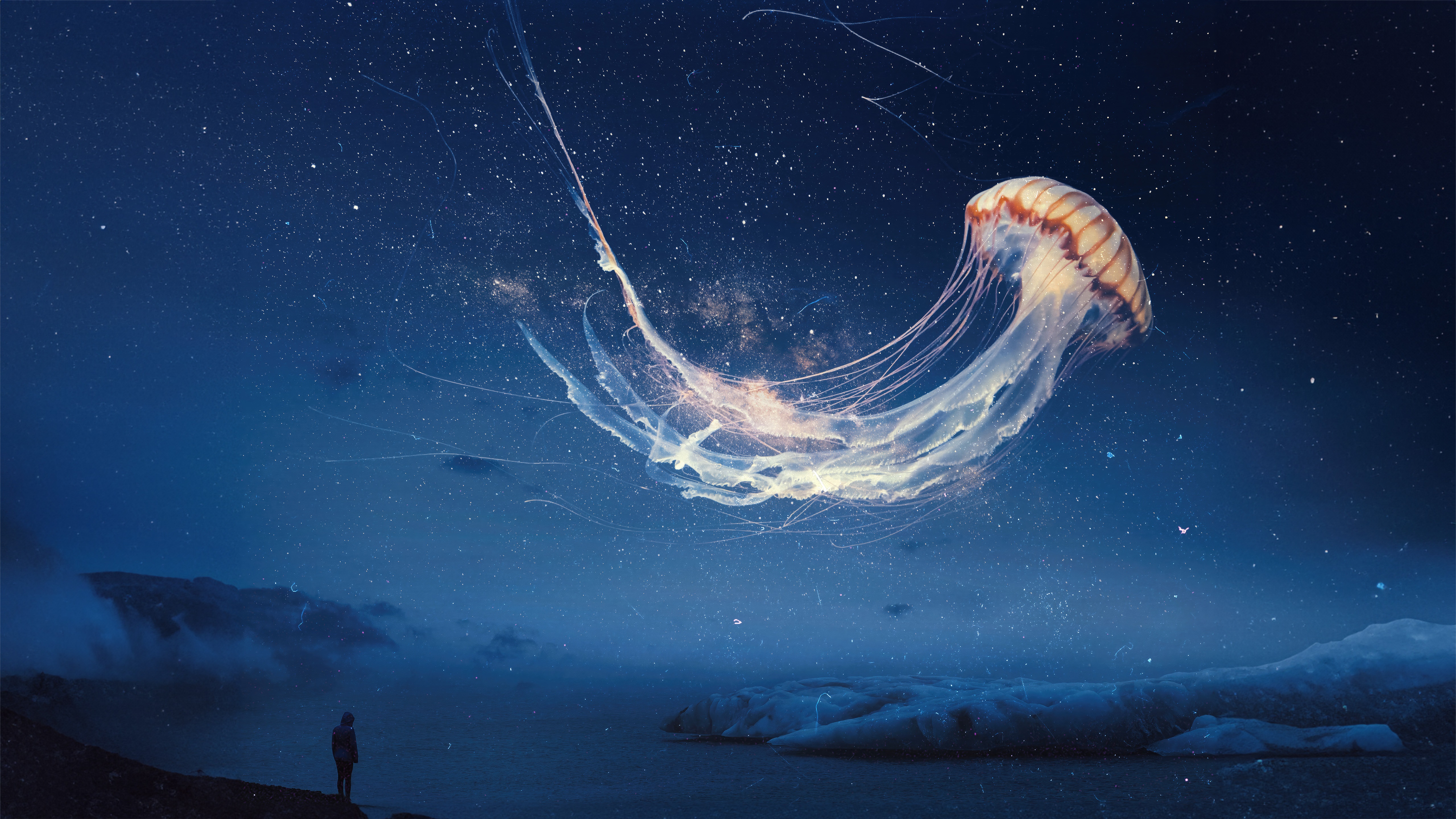 Digital art of a jellyfish in the night sky HD Wallpaper