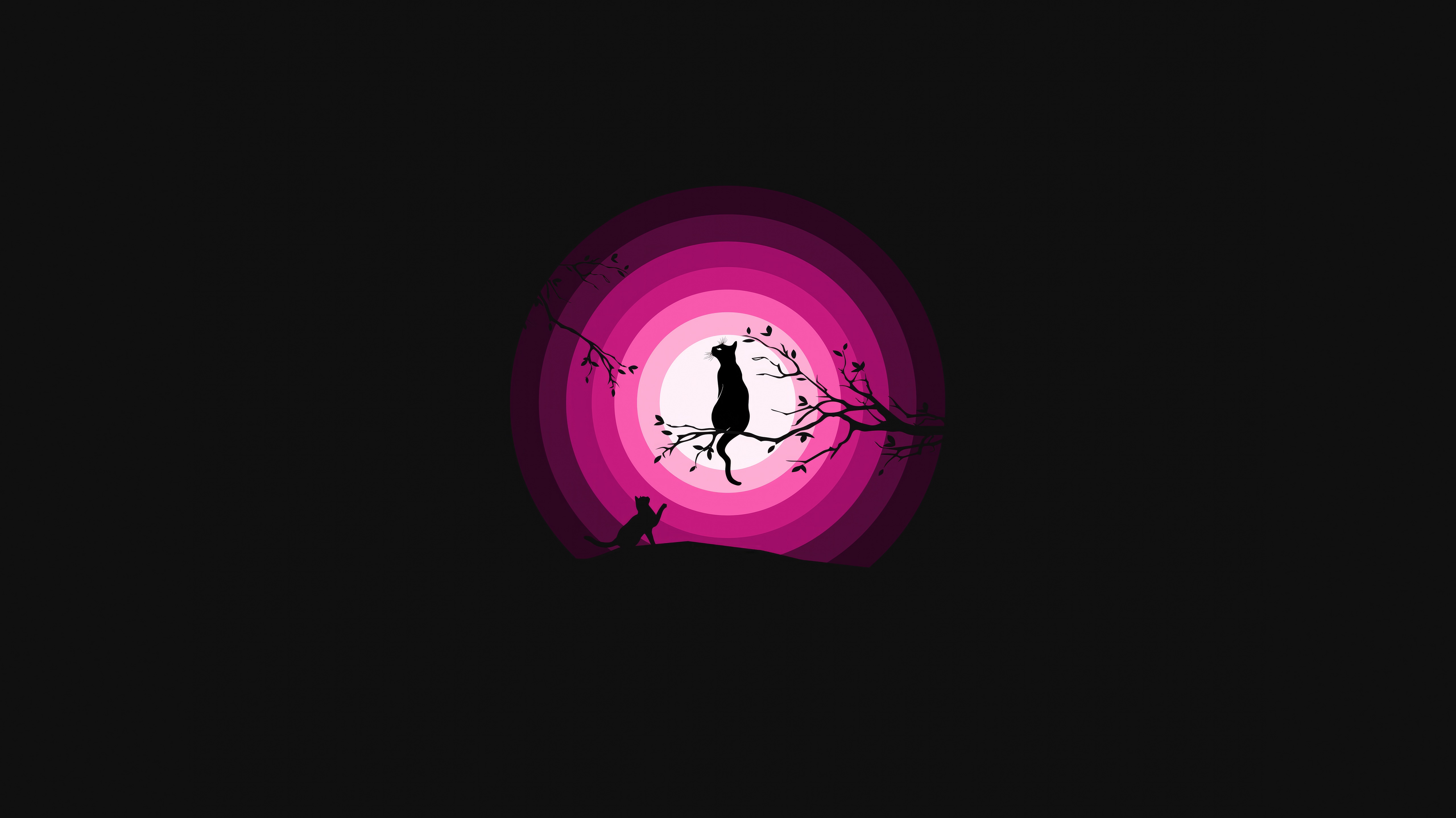 Silhouette of cats under a pink moon HD Wallpaper