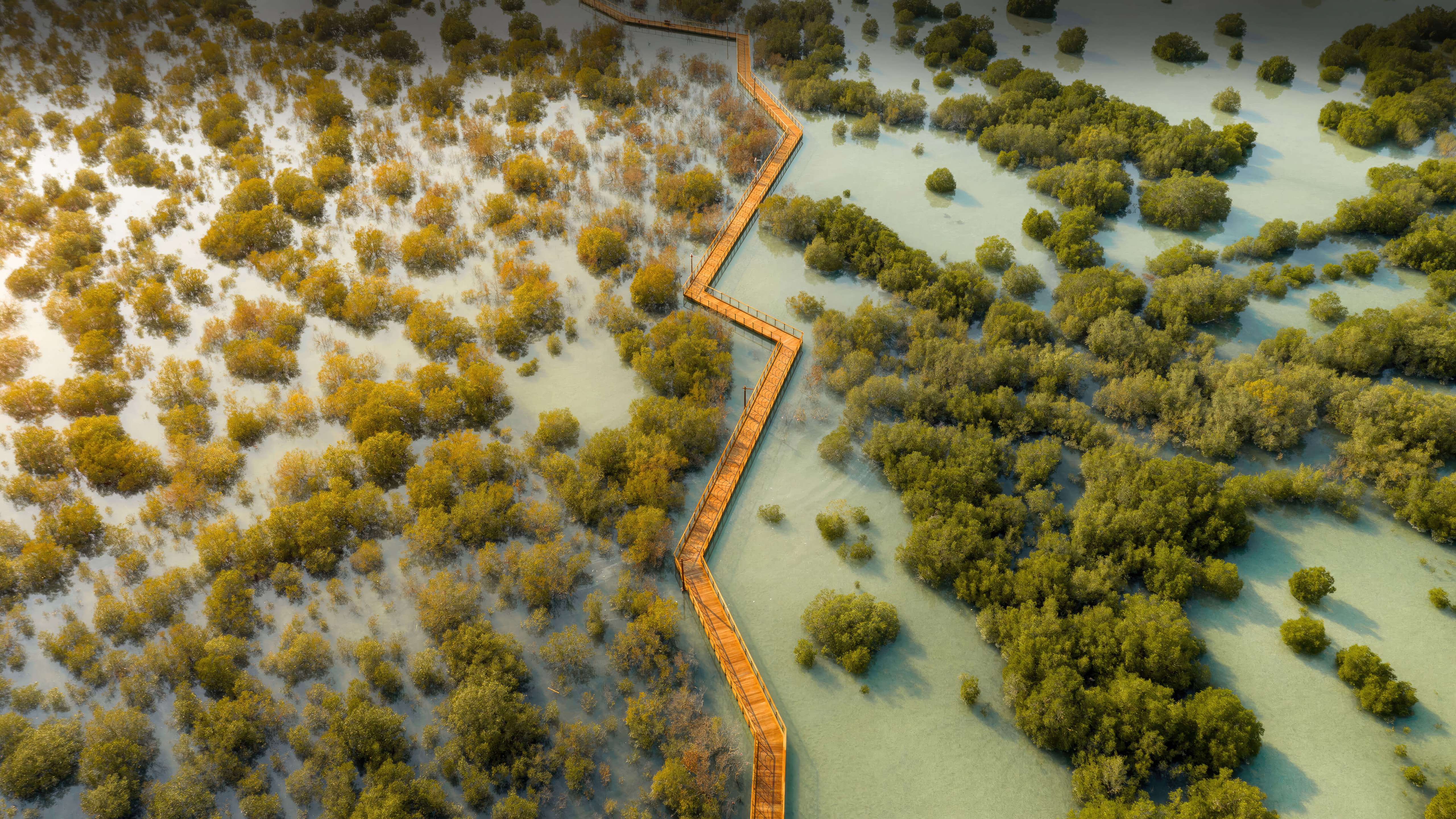 Aerial view of a wooden boardwalk through mangroves in Dubai HD Wallpaper