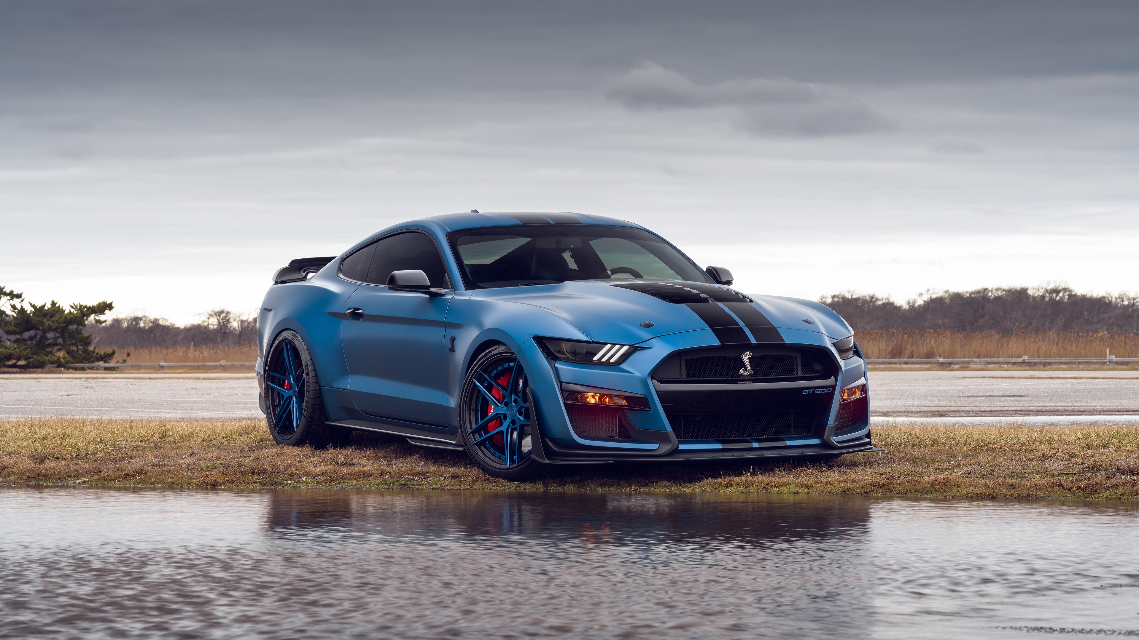 Blue Ford Mustang Shelby GT500 with black stripes HD Wallpaper