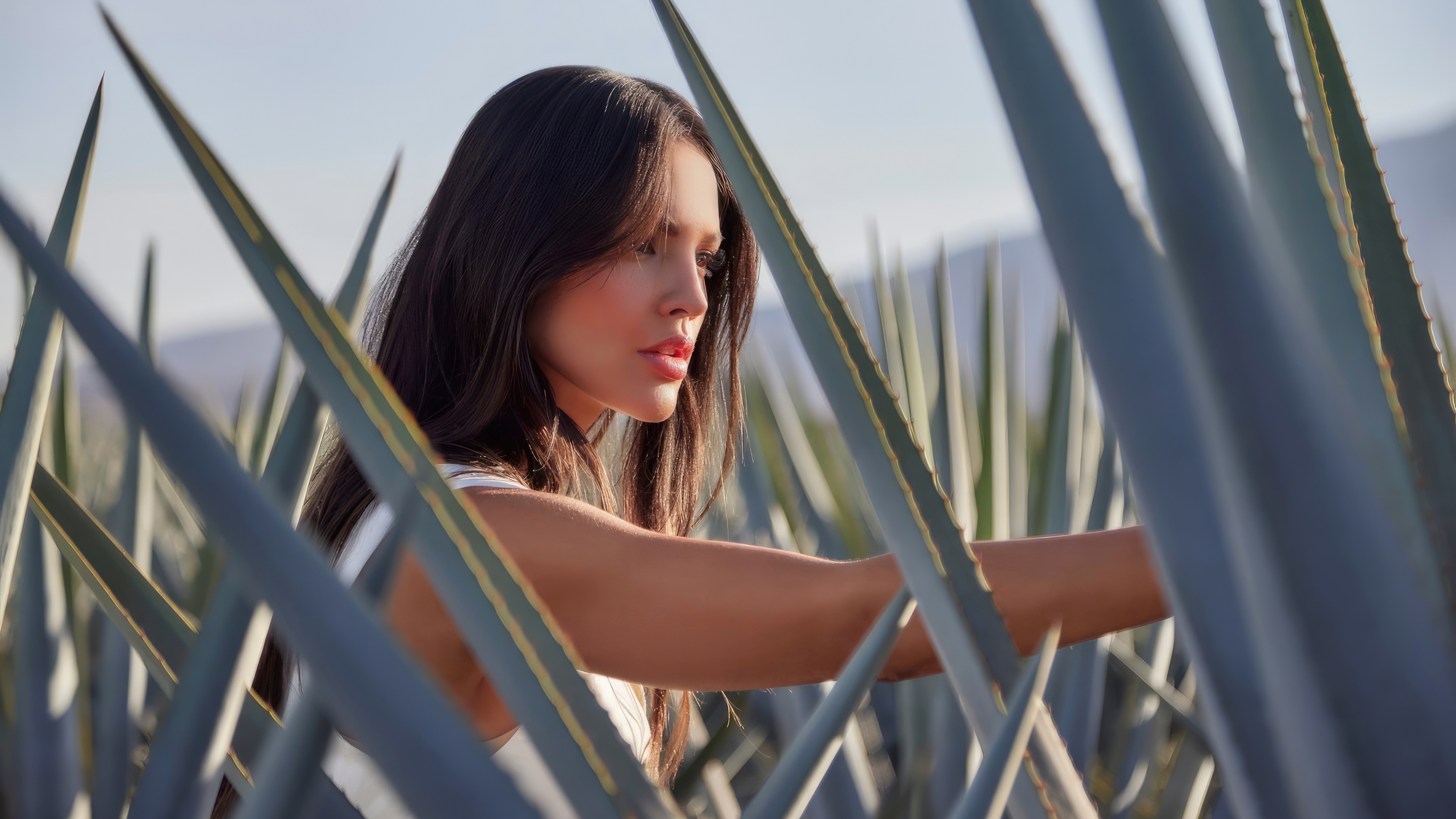Eiza Gonzalez in a field of agave plants HD Wallpaper