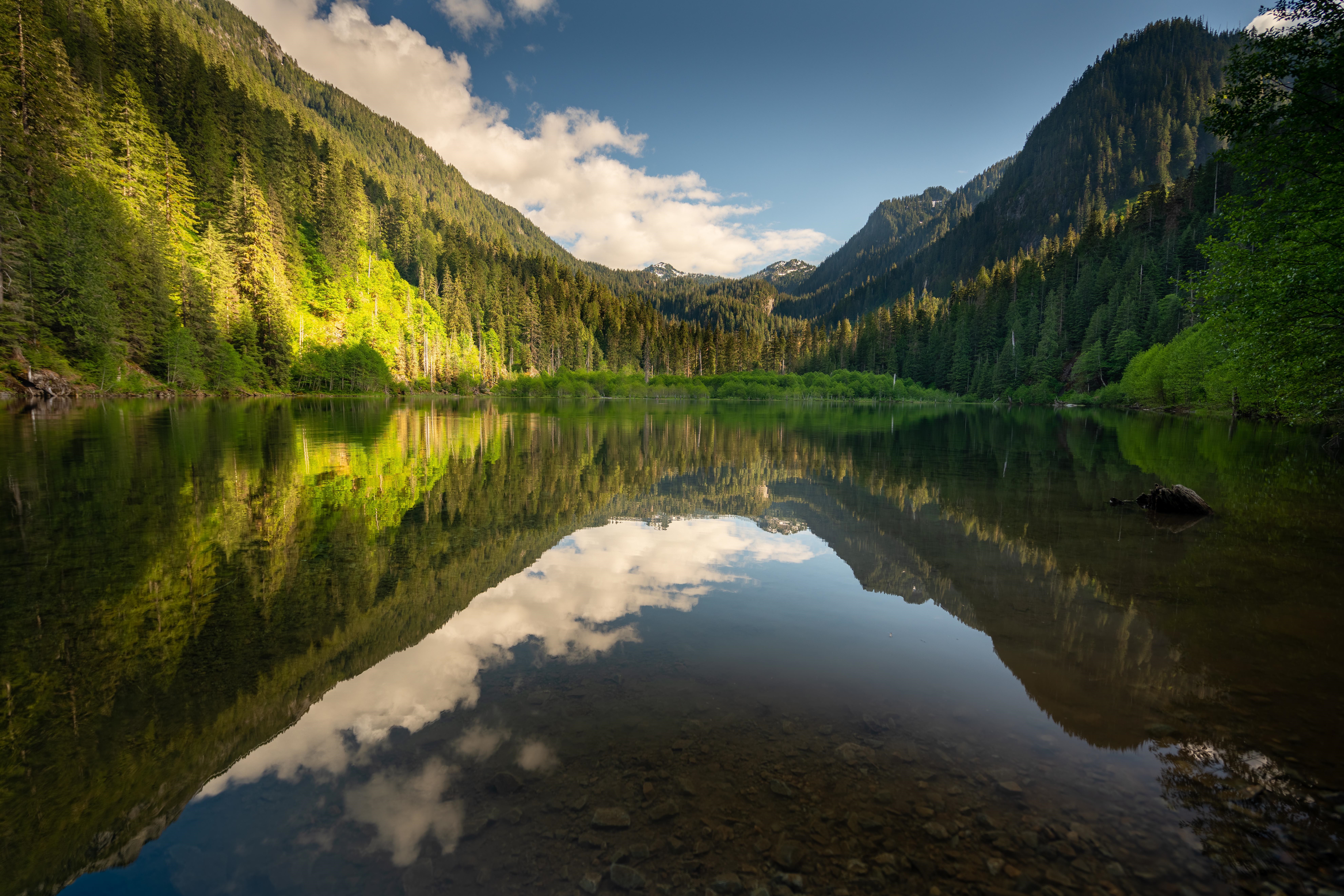 Lake reflection in a mountain forest HD Wallpaper
