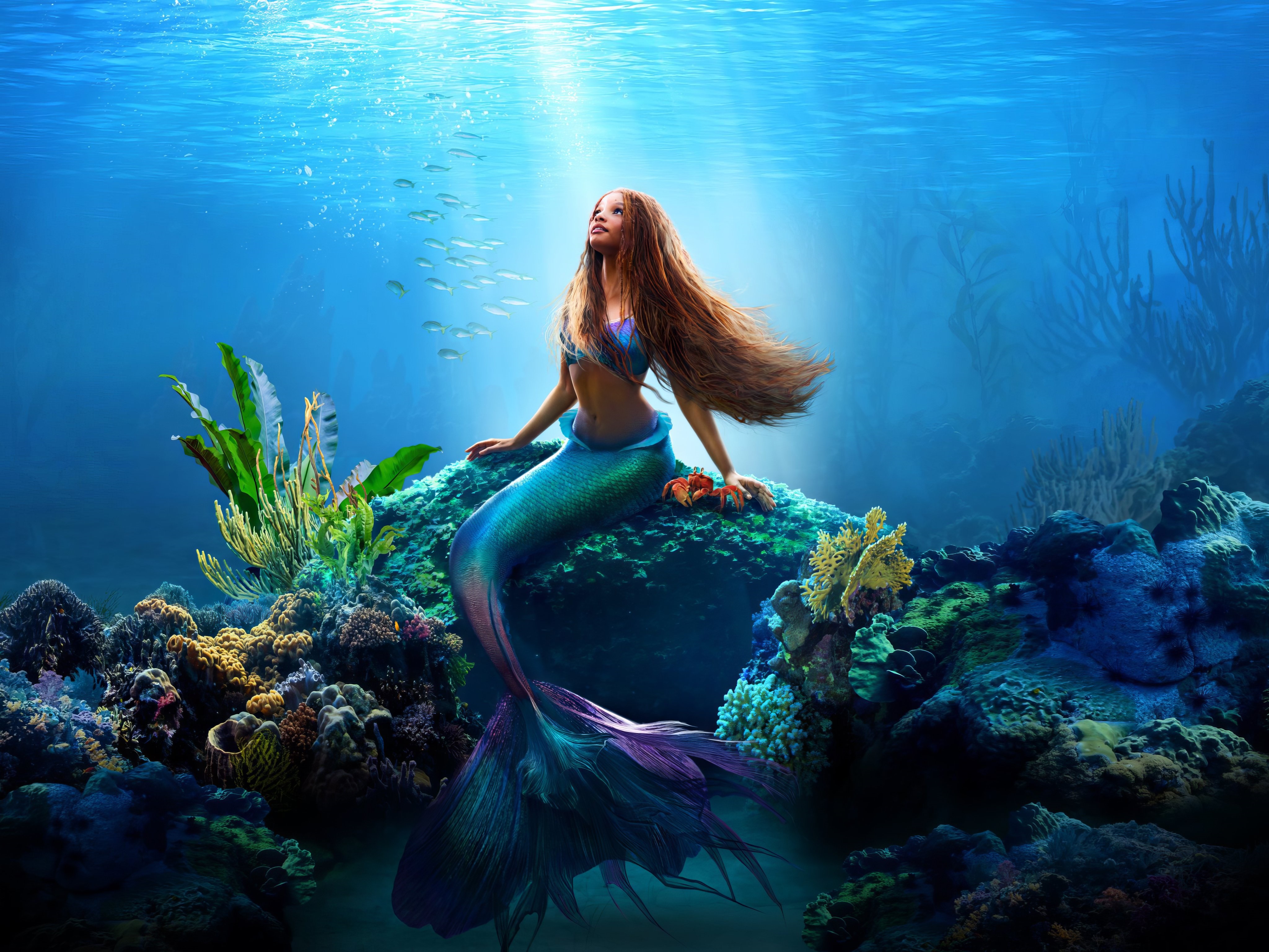 Ariel the Mermaid in The Little Mermaid 2023 4K HD Wallpaper