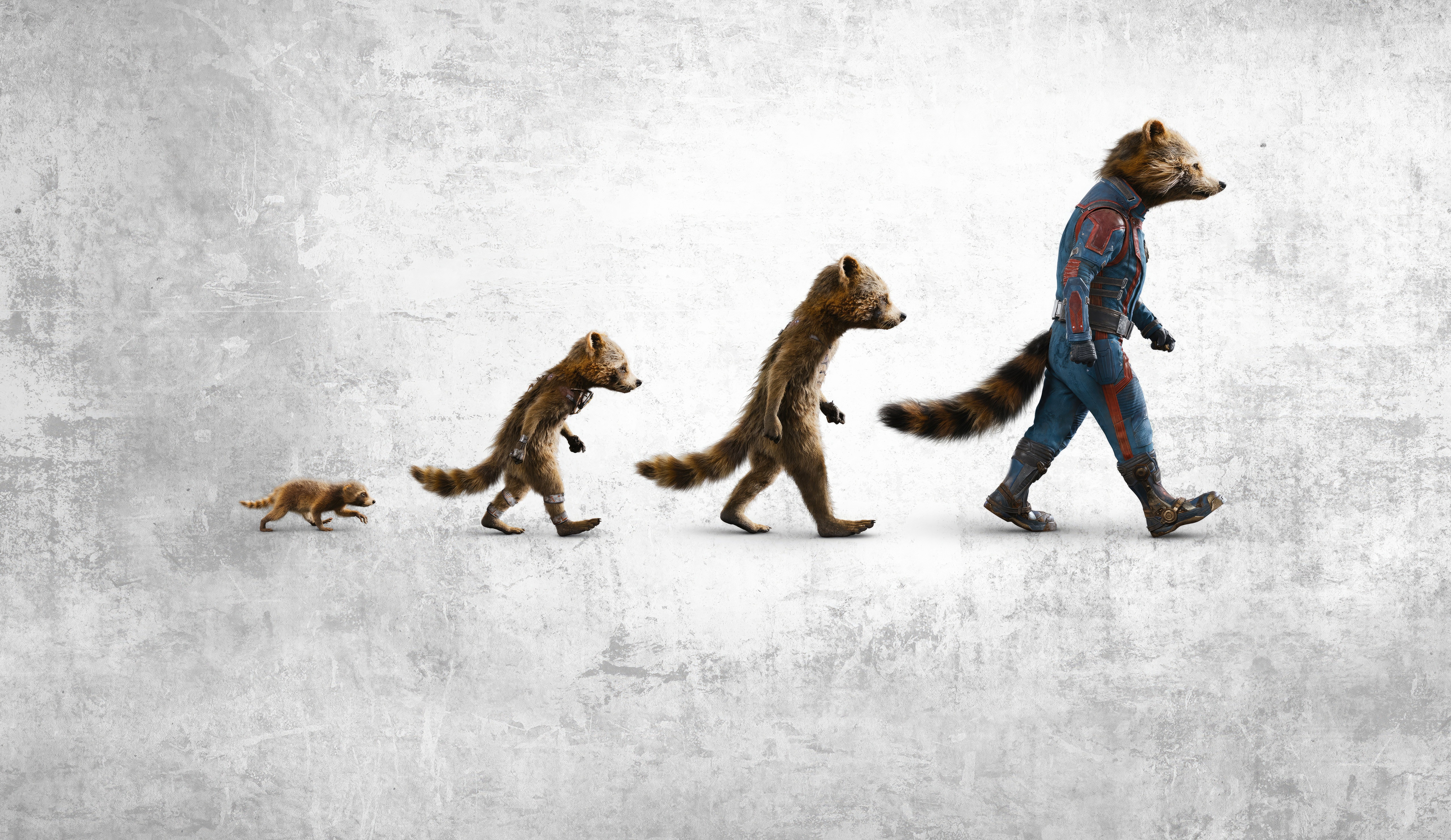 Rocket Raccoon Evolution Guardians of the Galaxy 4K HD Wallpaper