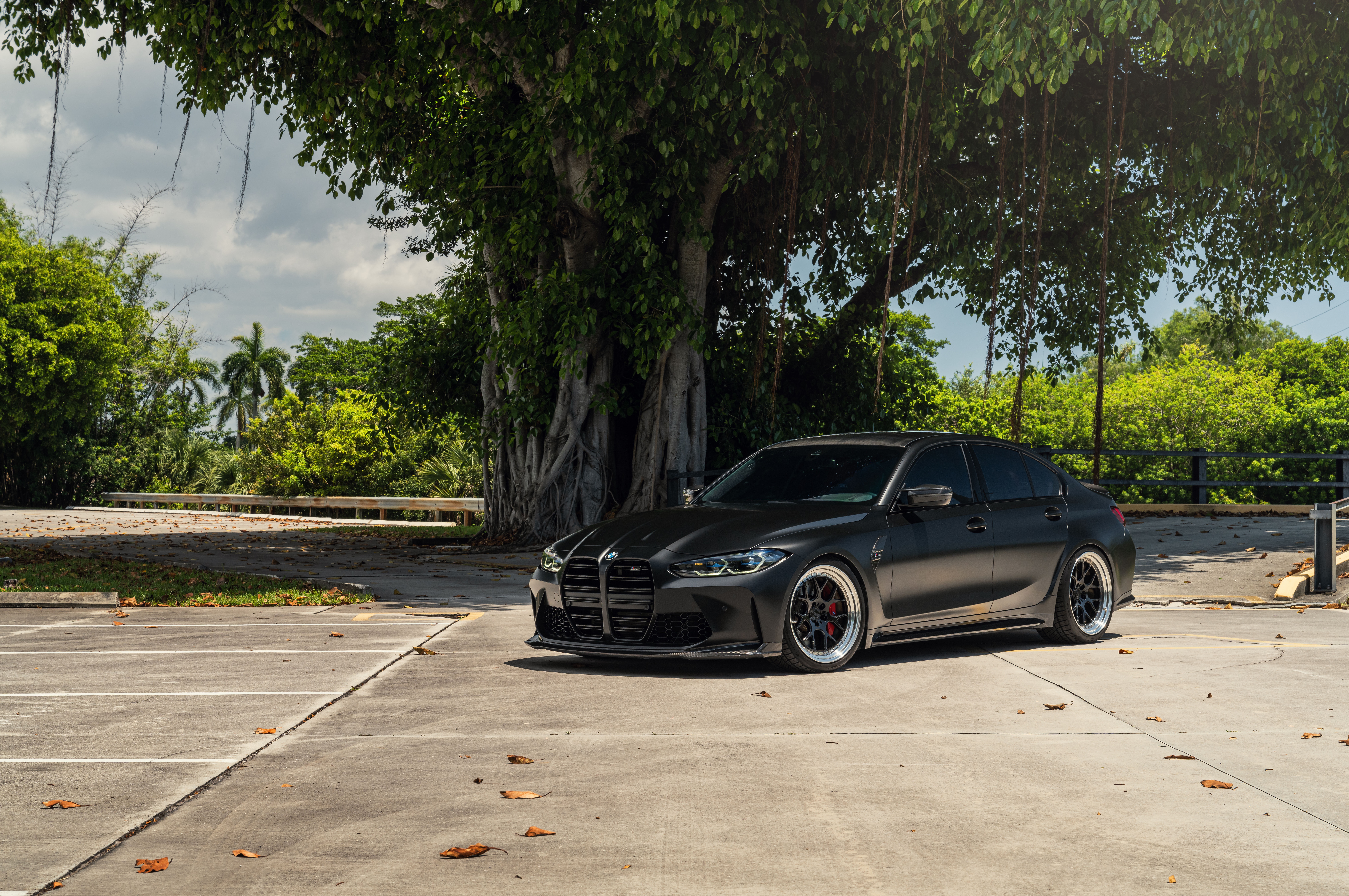 Matte black BMW M3 parked under a large tree HD Wallpaper