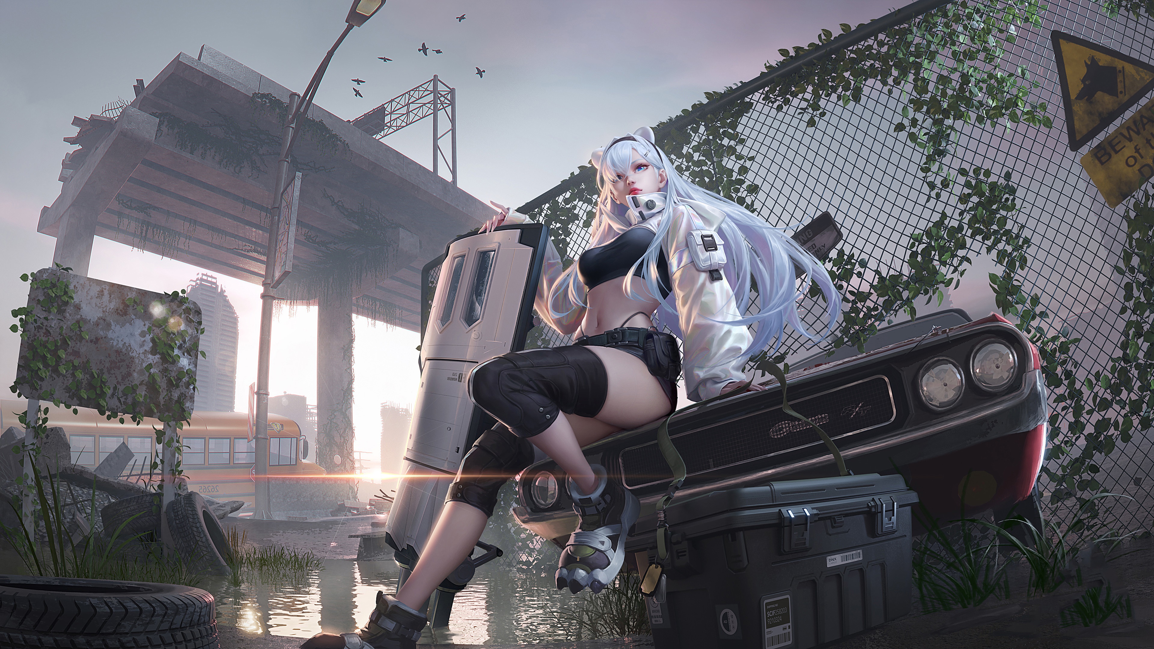 Anime girl with white hair sitting on a car HD Wallpaper